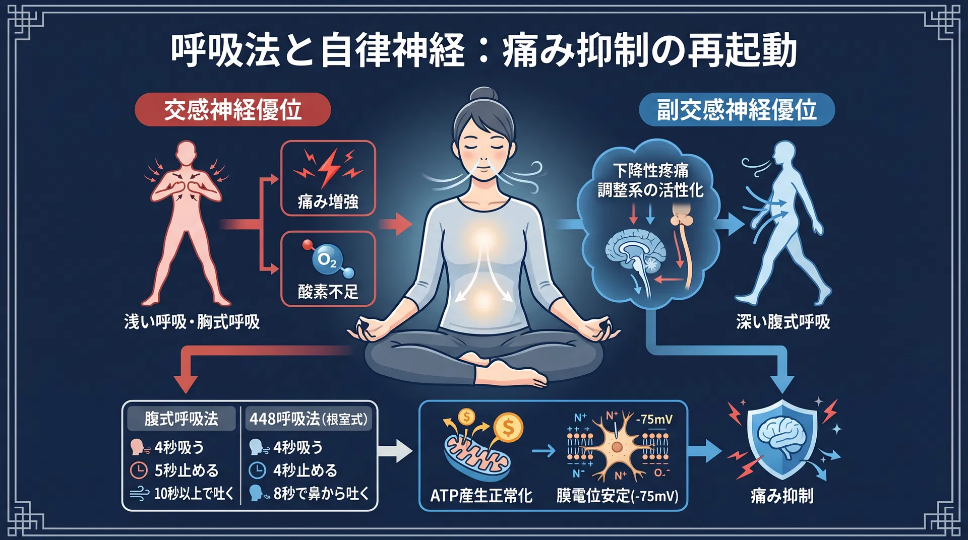呼吸法と自律神経：痛み抑制の再起動