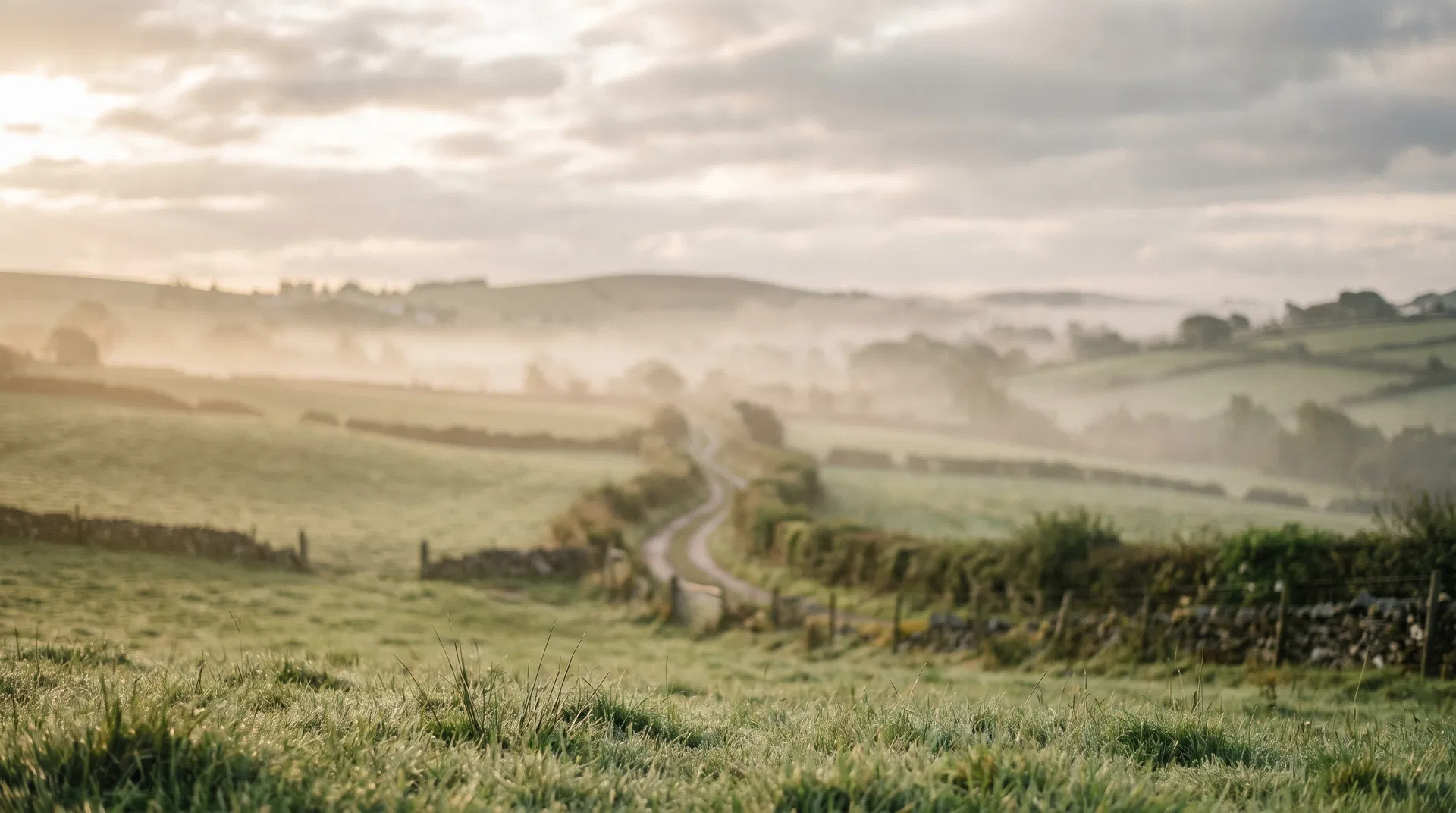 Northern Irish countryside at dawn