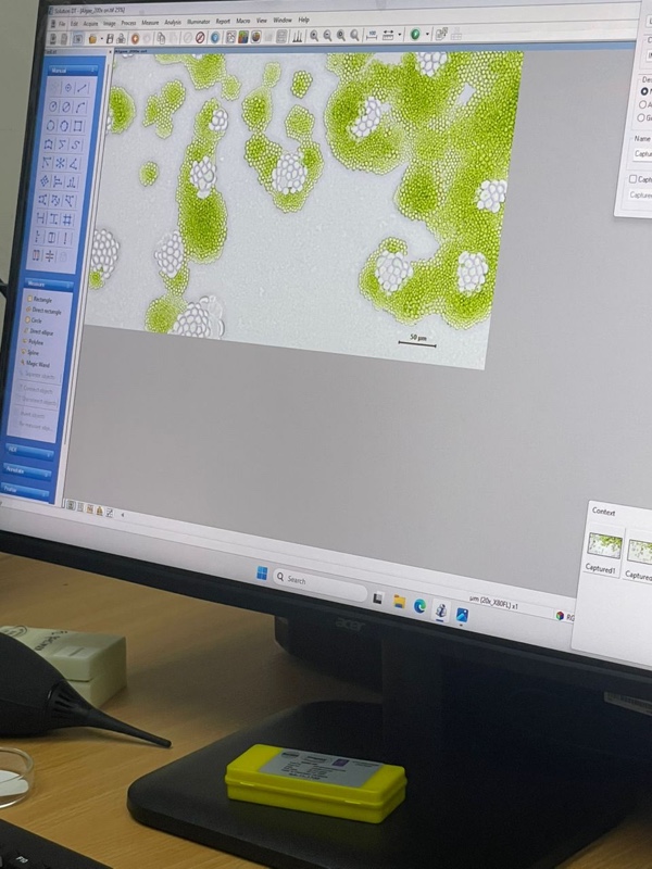 Advancing Research Capabilities with the Installation of New Digital Microscopes