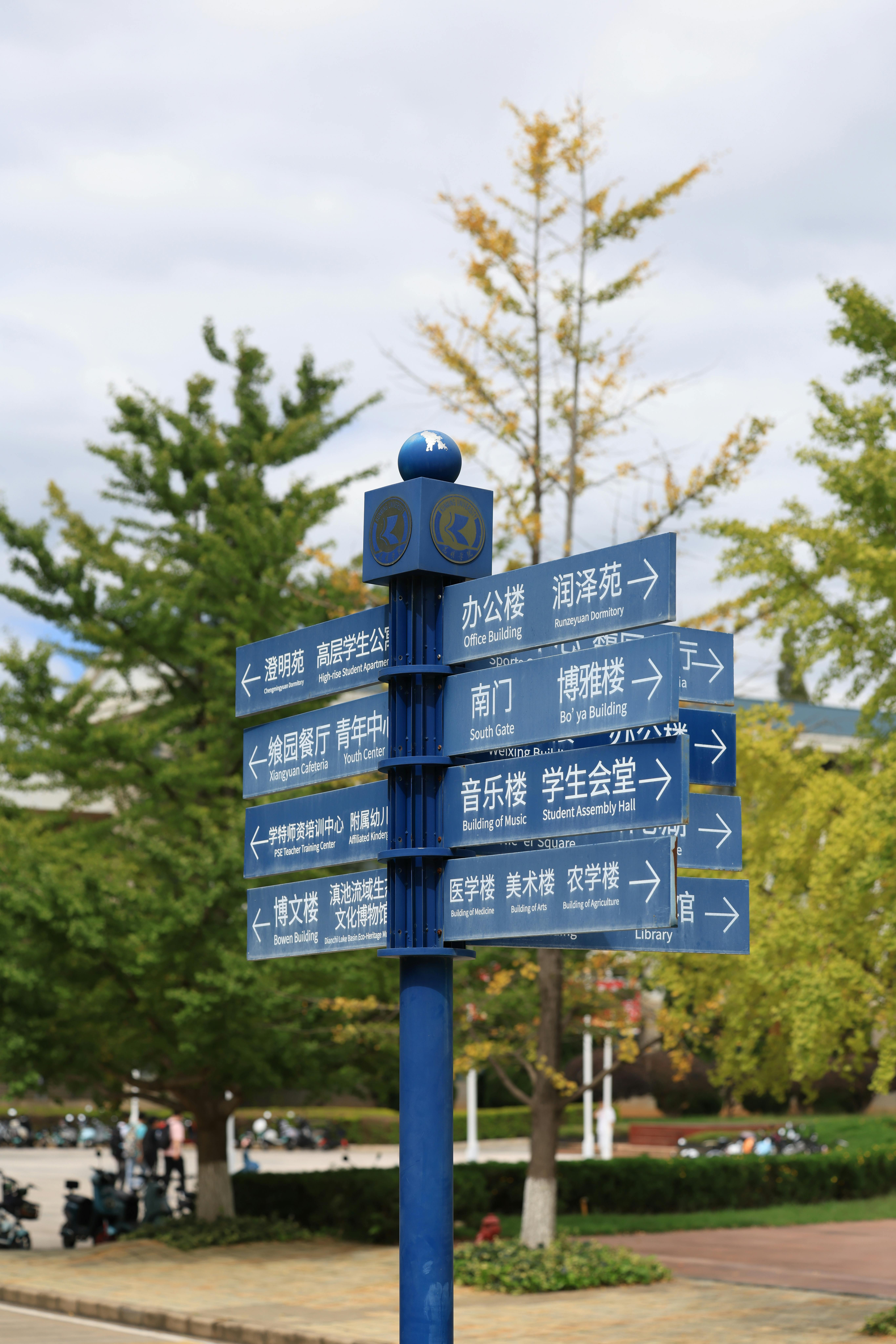 Bilinguismo e Educação Bilíngue