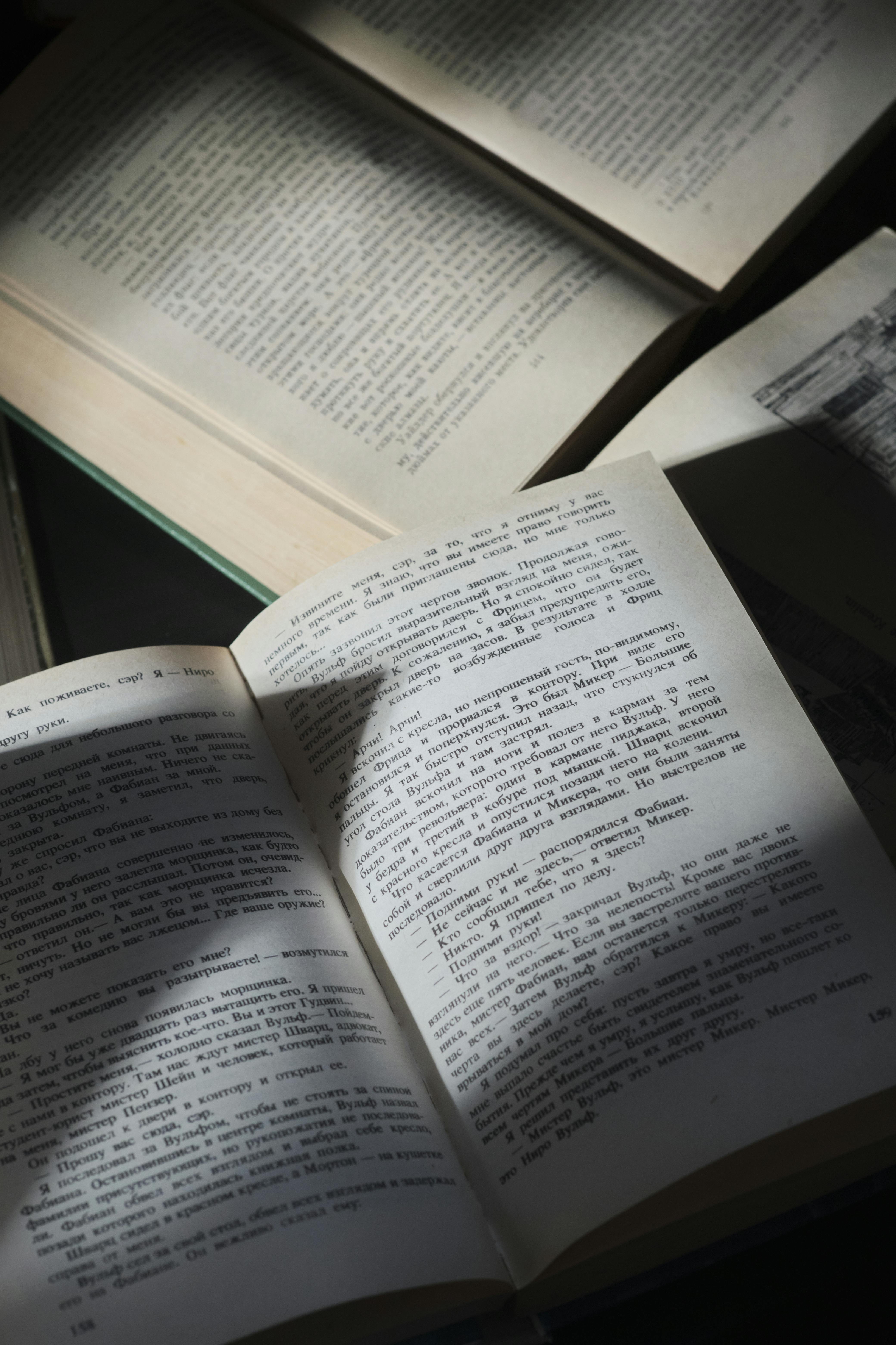 Crítica Literária e Análise de Textos