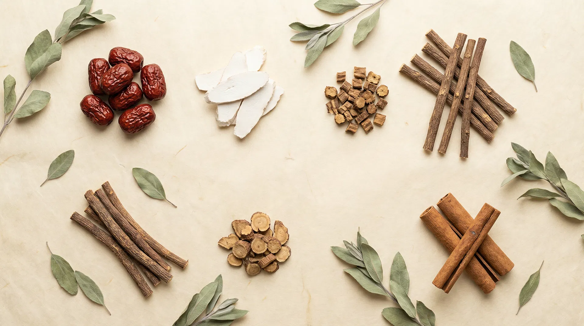 Traditional Chinese Medicine herbs: red dates, poria mushroom, bupleurum root, licorice root, and cinnamon