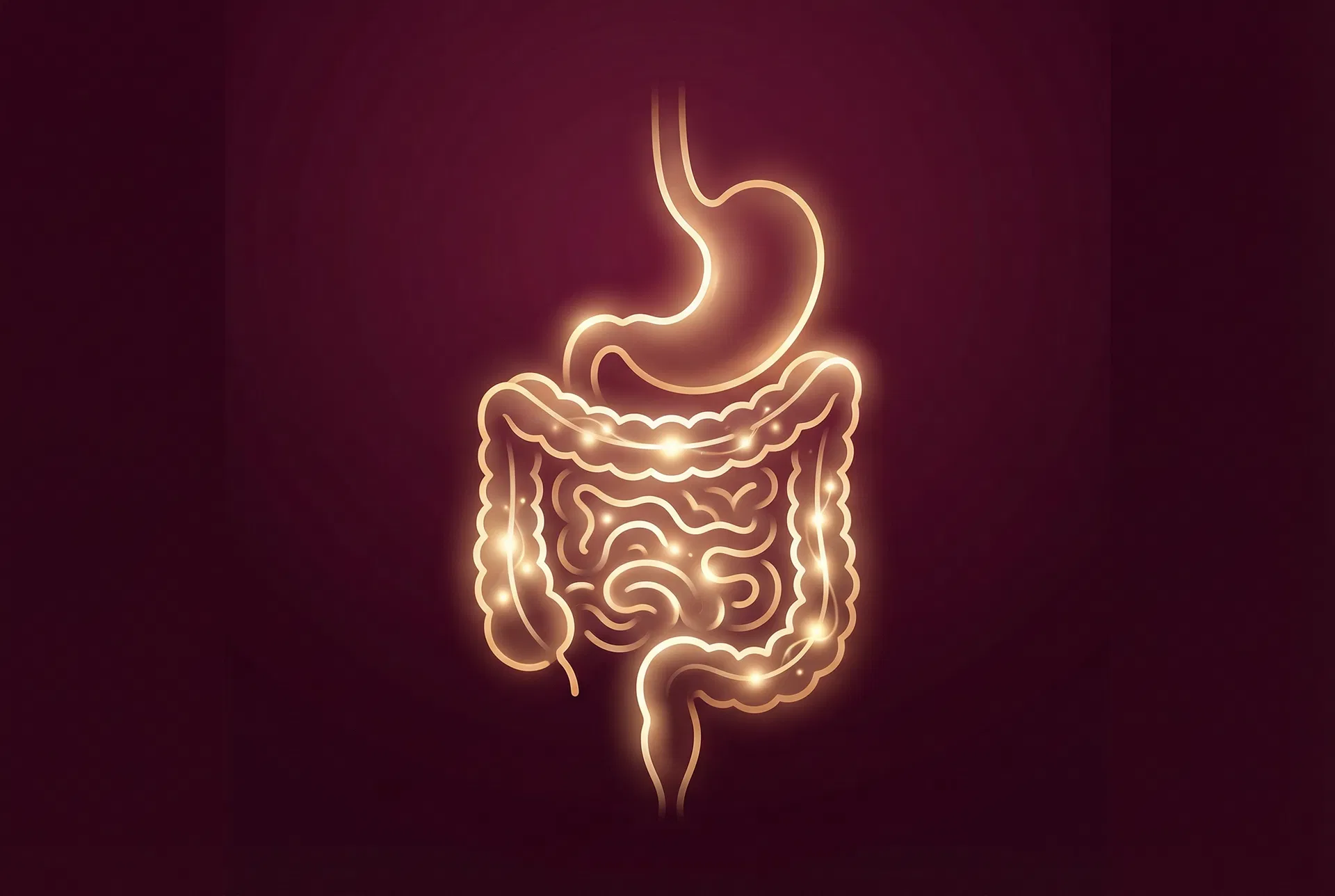 The Gut-Skin Connection Your Dermatologist Hasn’t Mentioned