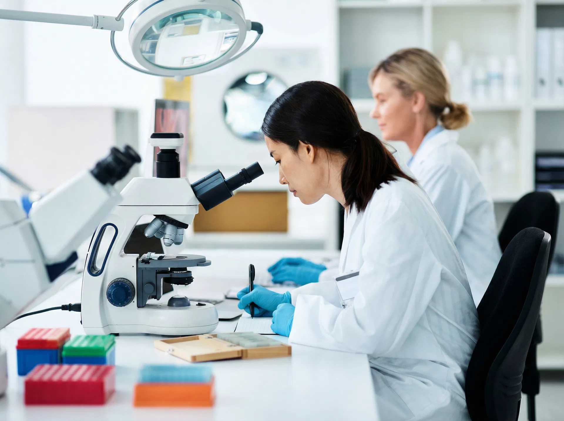 Third-Party Tested for Purity, Potency, and Heavy Metals