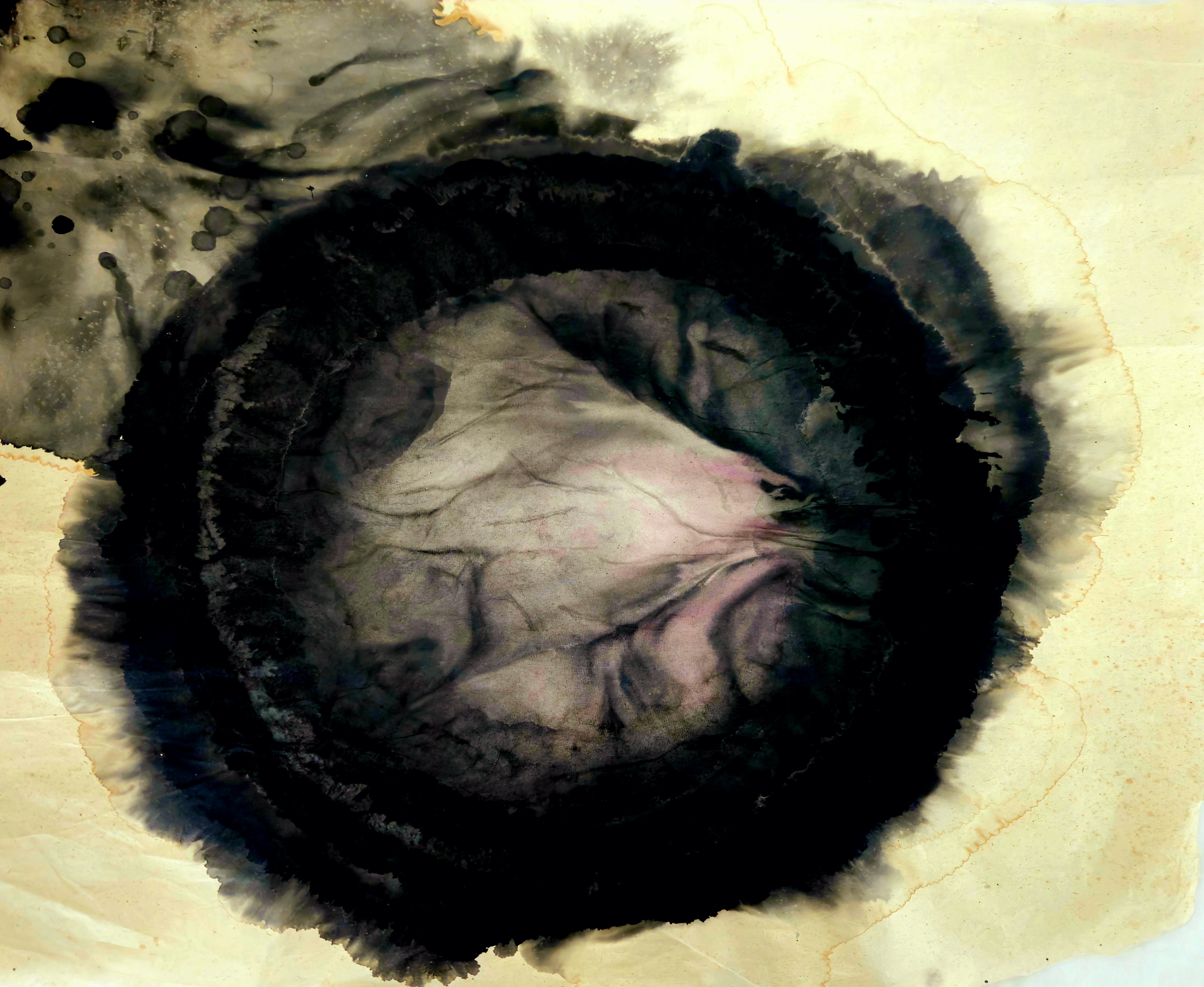 Study (cellular Wash)