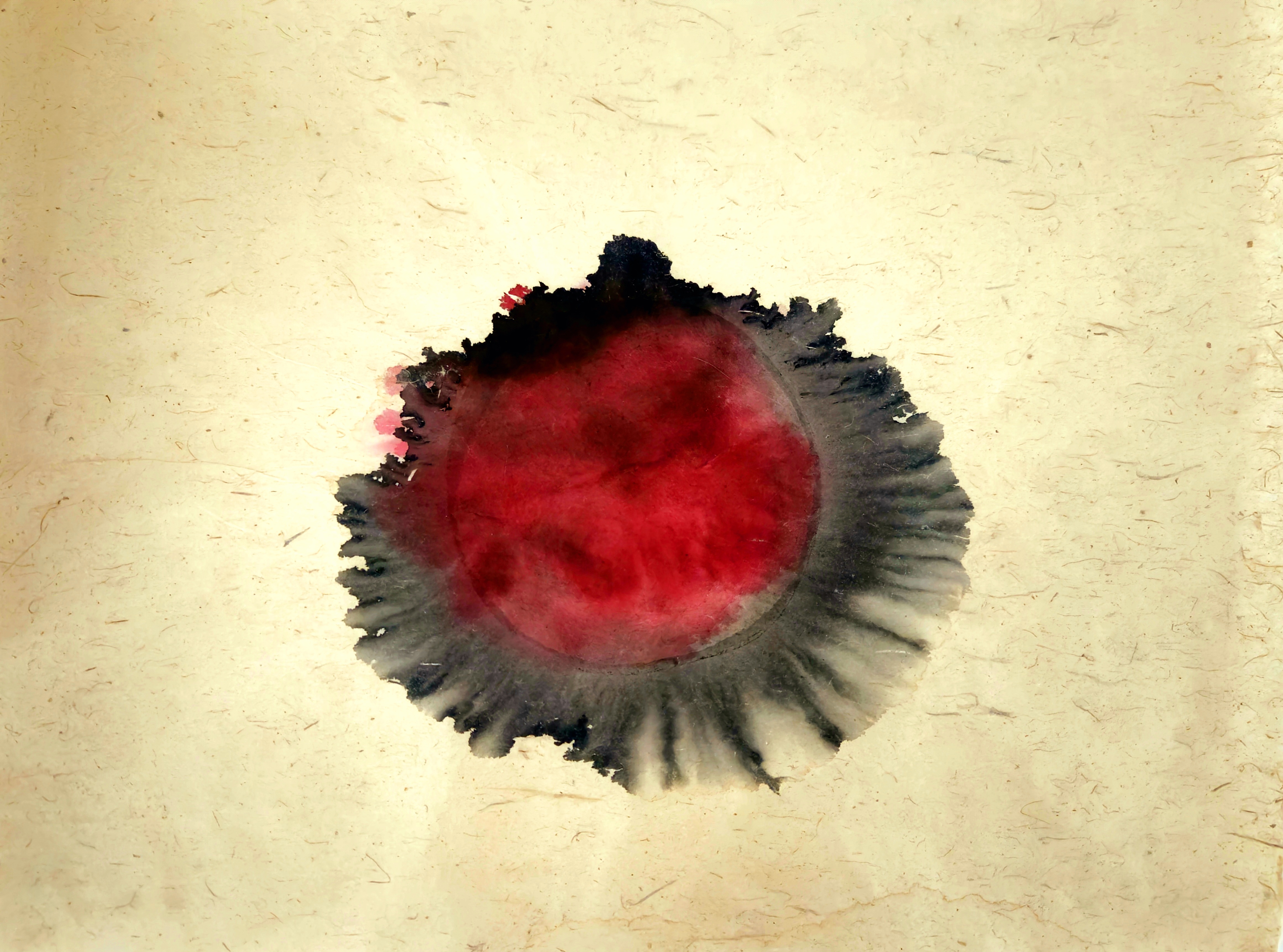 Study (wash Fragment)