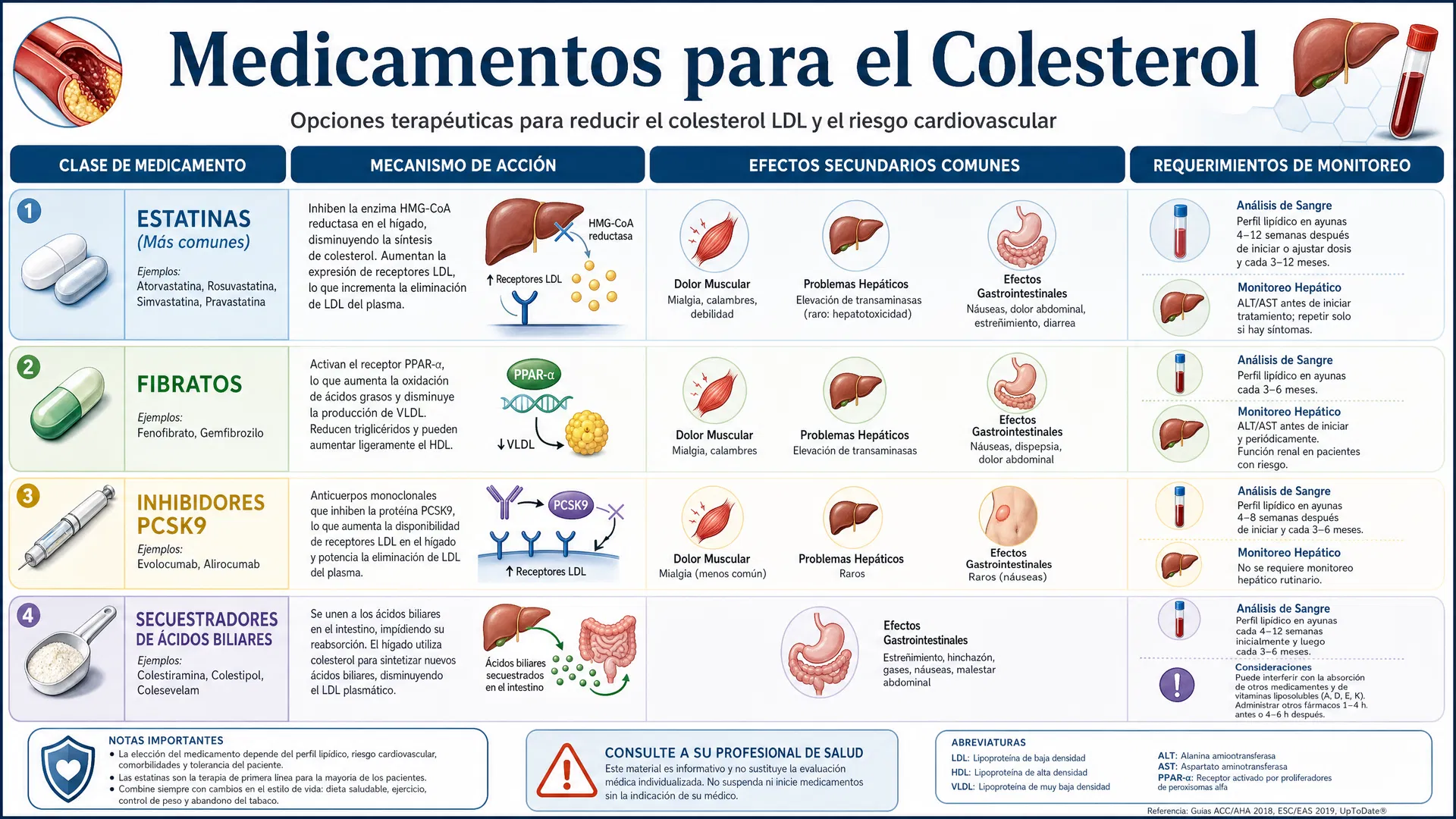 Medicamentos para el Colesterol - Infografía mostrando clases de drogas, mecanismos de acción, efectividad y efectos adversos