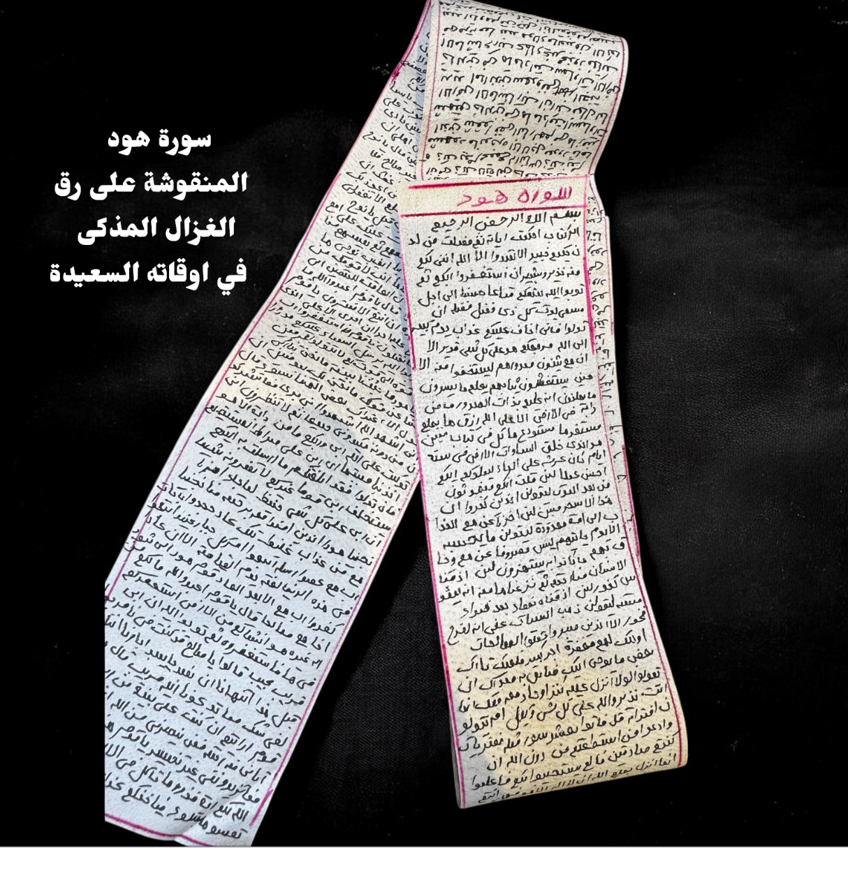 سورة هود المكتوبة على رق الغزال