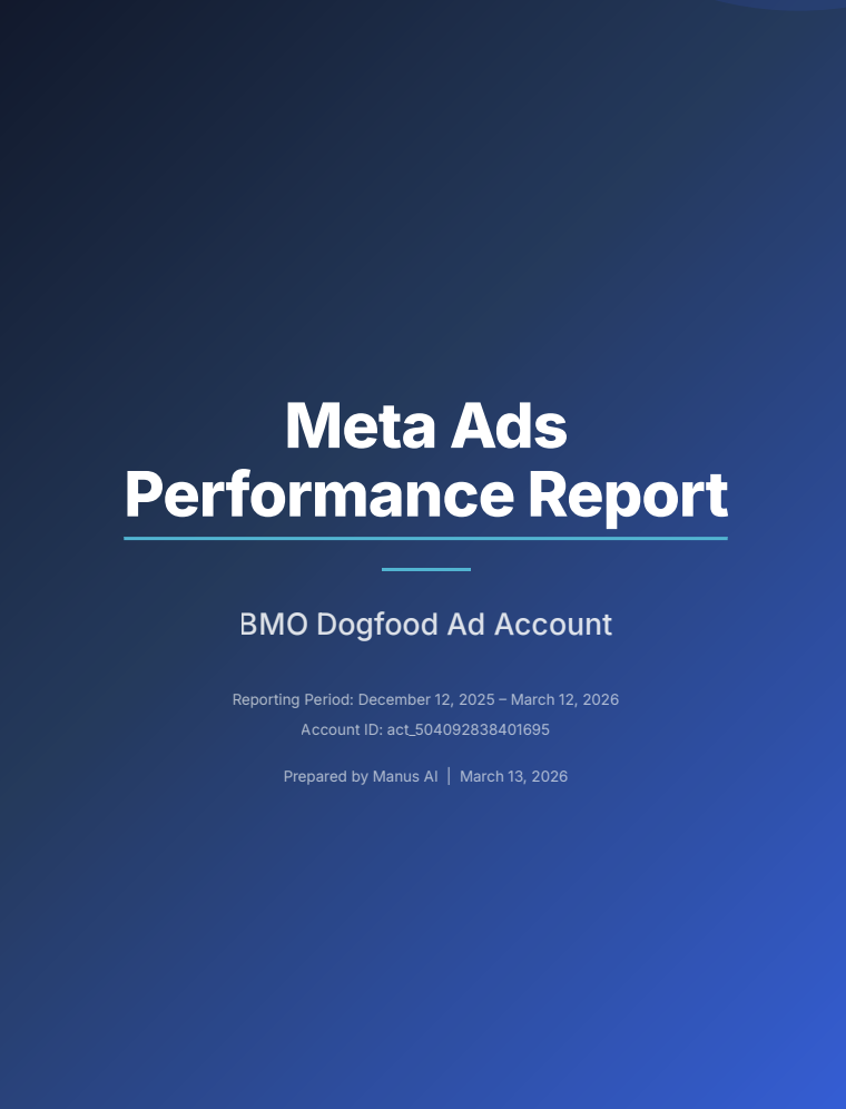 Marketing Operations: Meta Ads Report Generation