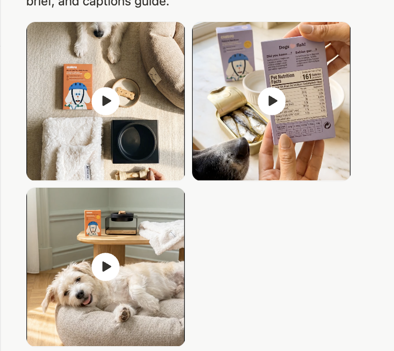 Content Generation: UGC Video Idea Brainstorming