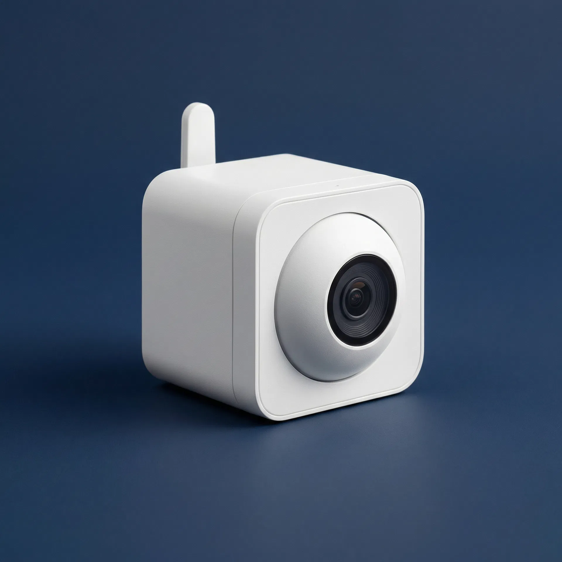 IP / Wireless Cameras