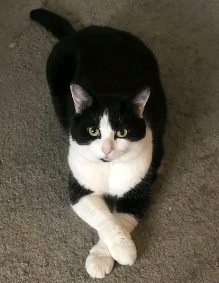 Lady16