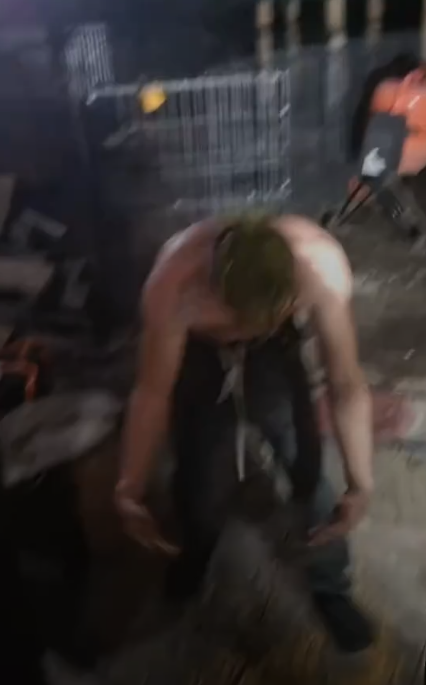 #casutadinpadure❤️ #tiberiusicornel #viral_video #fyp #mesteri