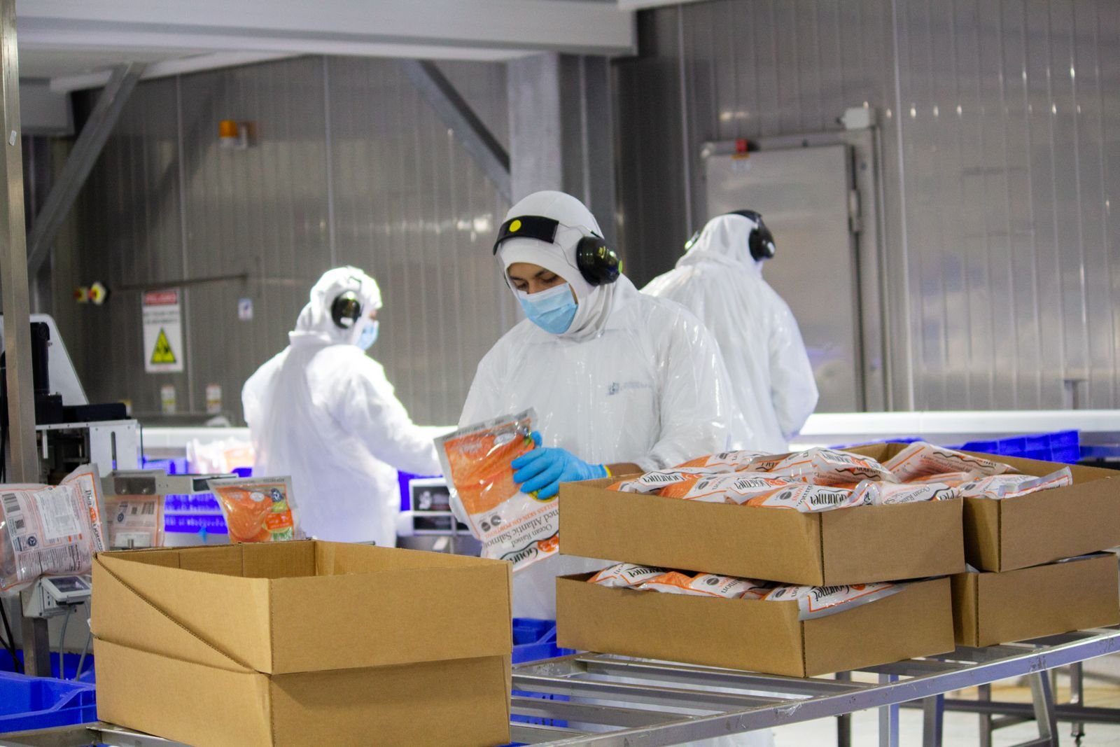 Salmones Camanchaca: Certificación Zero Waste Impulsa Sostenibilidad en el Sur de Chile