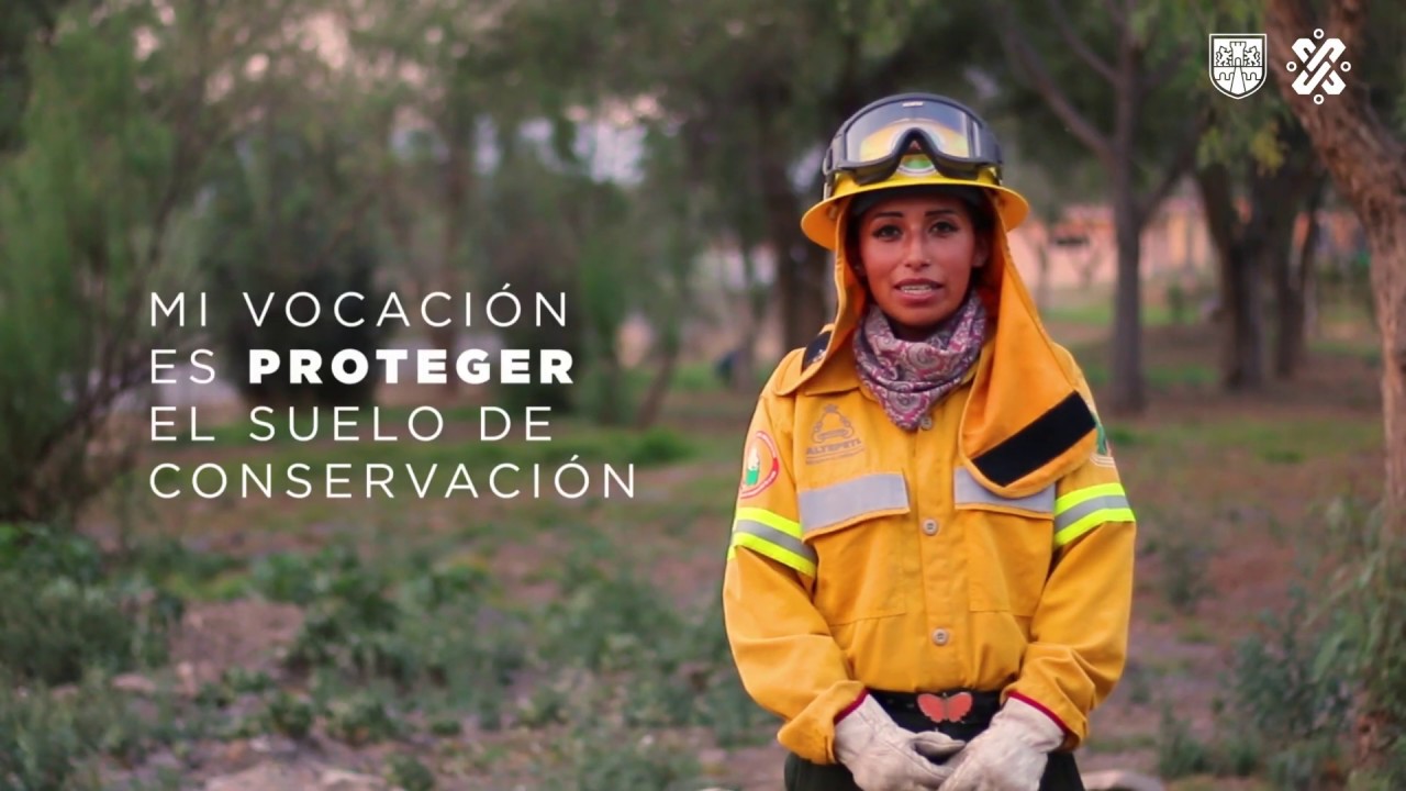 Lluvias y CONAF: Freno a Incendios en Osorno