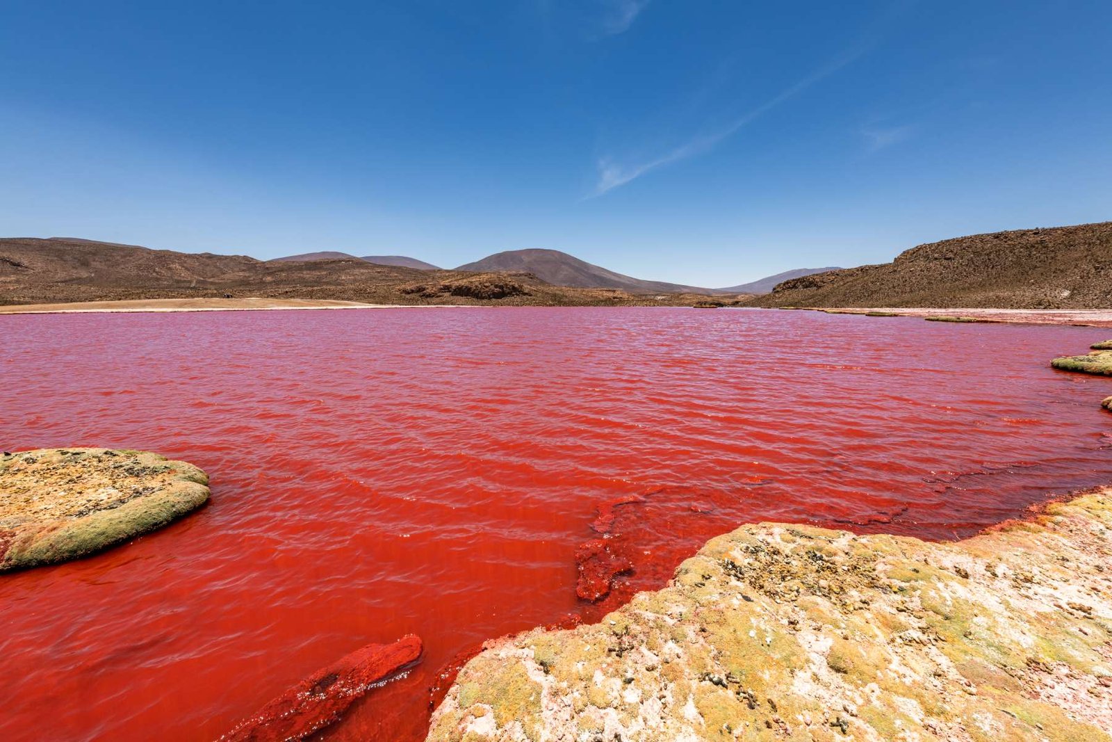 Calendario Feriados 2026 en Chile: Conoce los 6 Fines de Semana Largos del Año