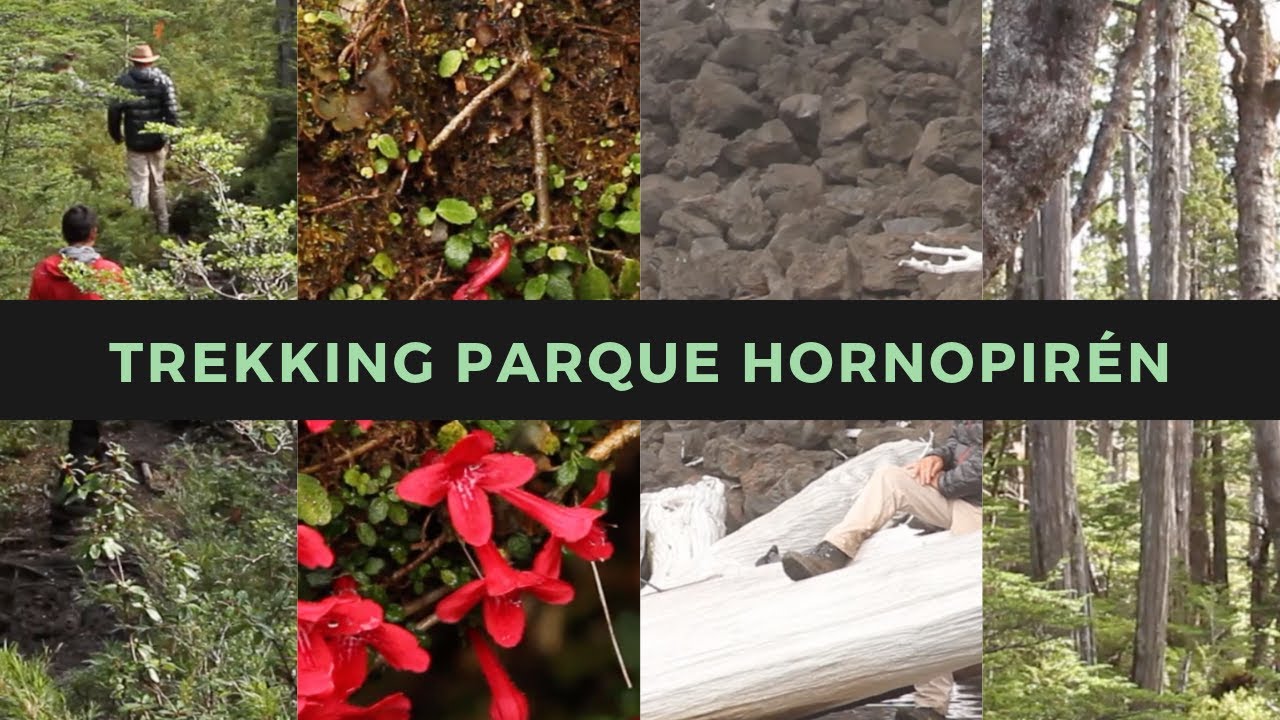 Descubre Hornopirén: Tu Guía de Viaje Ideal