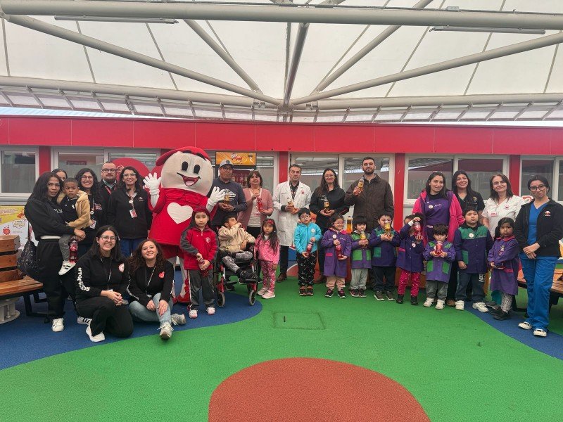 Campaña de Reciclaje por Teletón en Los Lagos: Buscan reunir 175 toneladas de plástico