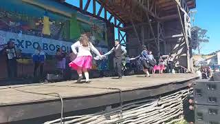 Expo Bosque 2025: Innovación y Cultura en Chonchi