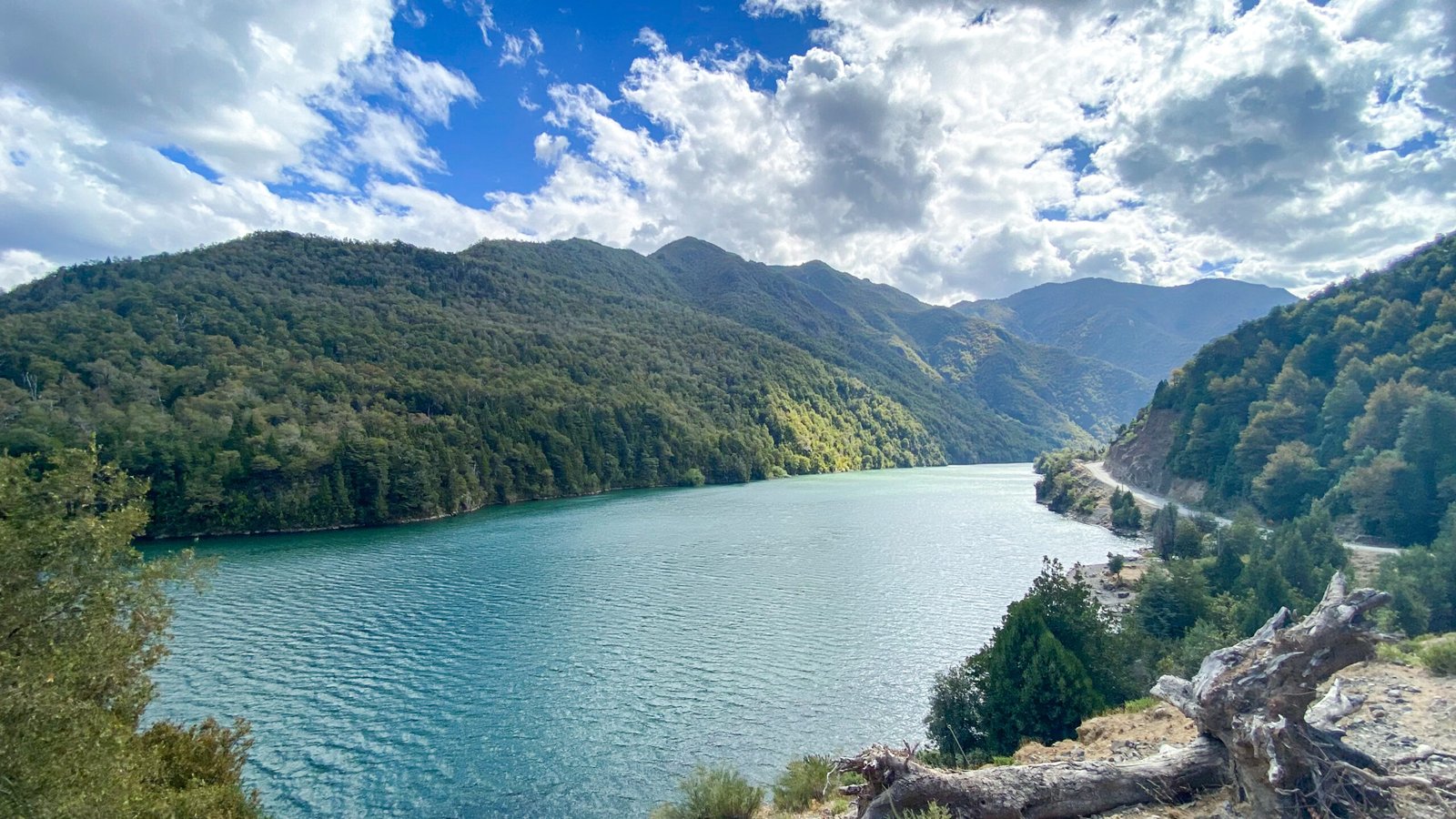 Chile Consolida Liderazgo Regional: FAO Reconoce Dos Nuevos Sitios como Patrimonio Agrícola Mundial