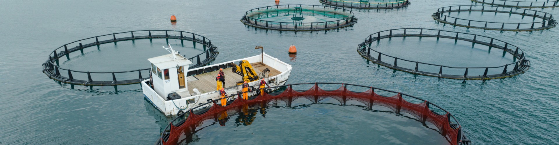 Congreso de Caligus 2024: Un hito en la acuicultura chilena