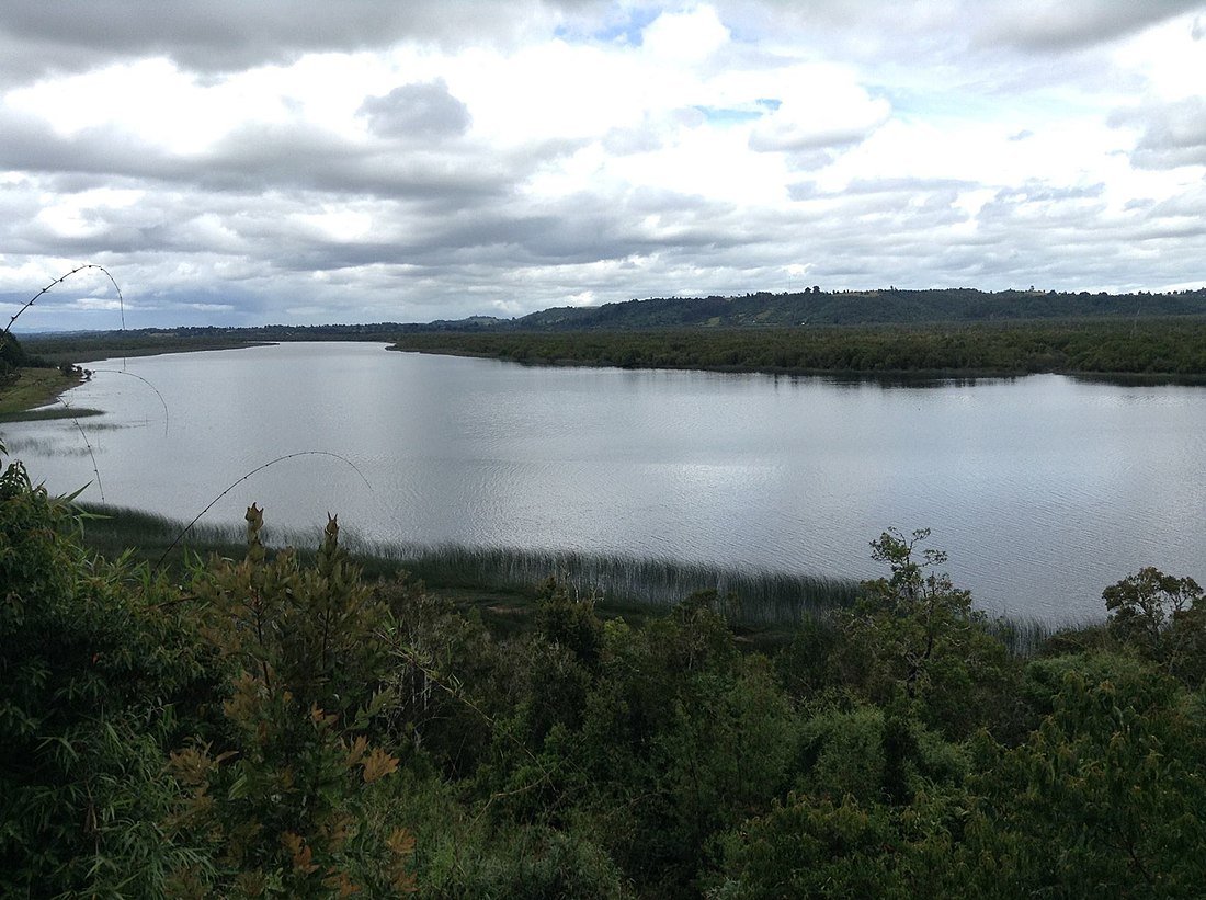 Alerta hídrica en Maullín: DGA limita nuevas concesiones