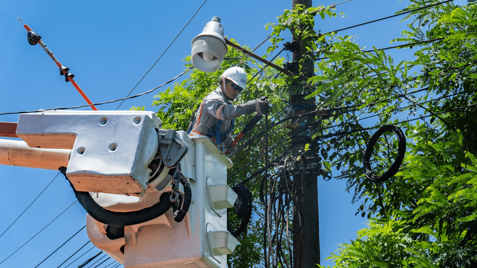 Corte de Luz en Osorno: Saesa Trabaja en la Reposición del Servicio en Rahue Bajo