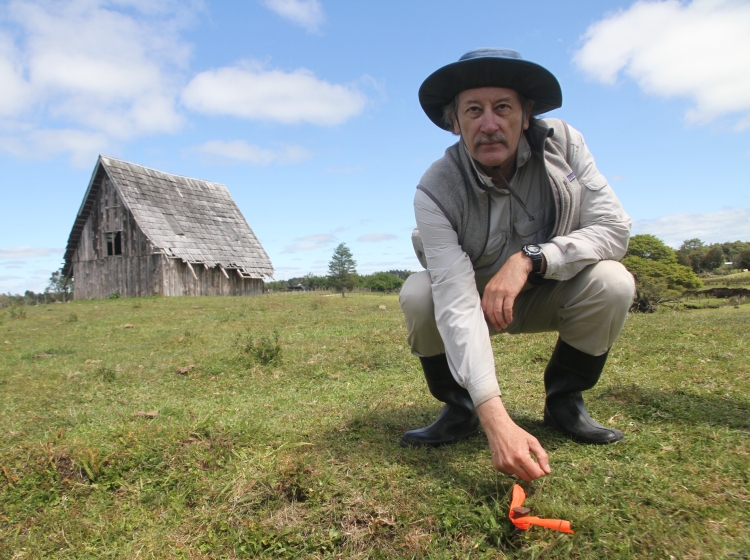 Descubre Monte Verde: Experto mundial dará charla gratuita en la UACh de Puerto Montt