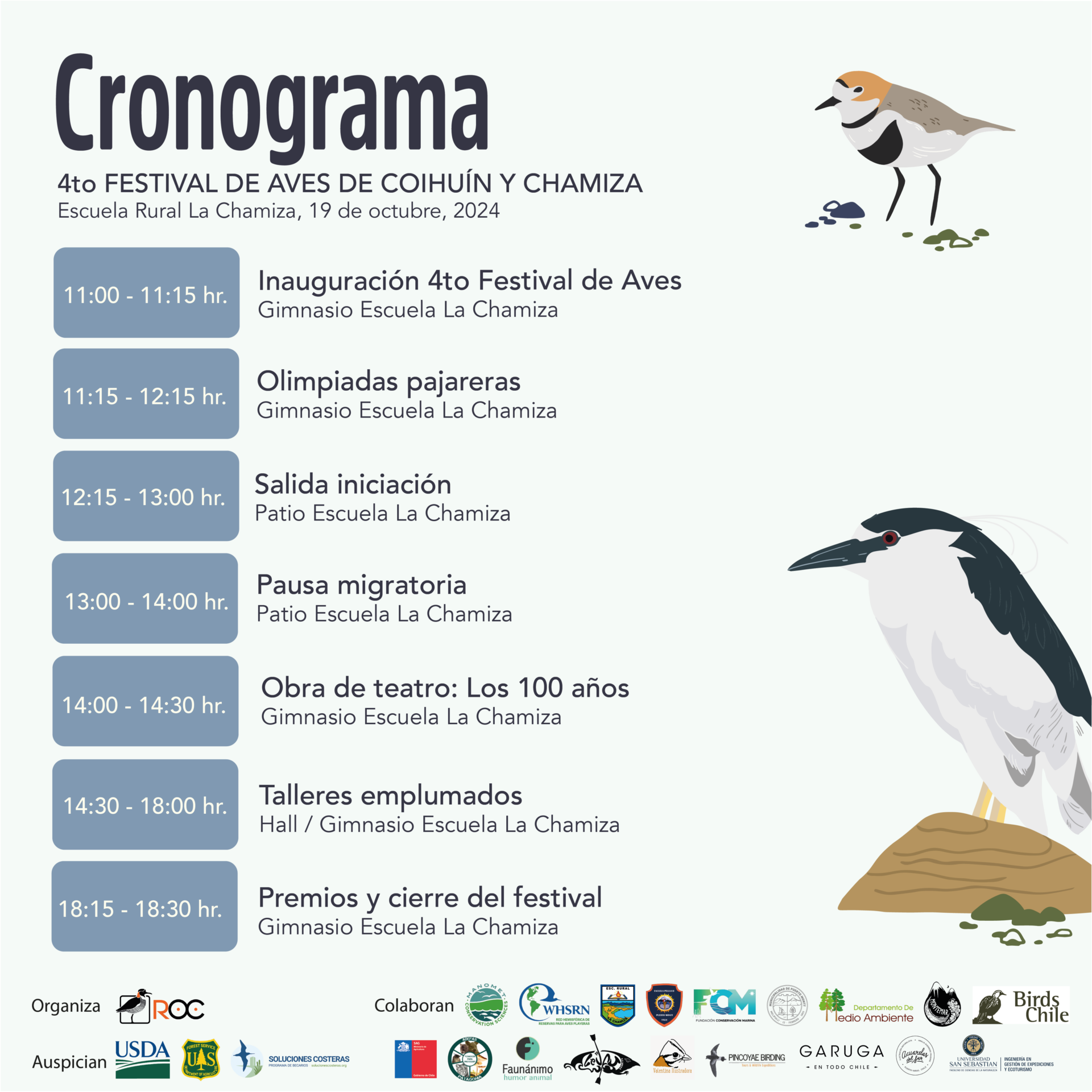 Festival de Aves Coihuín y Chamiza 2024: Un Día de Aprendizaje y Diversión