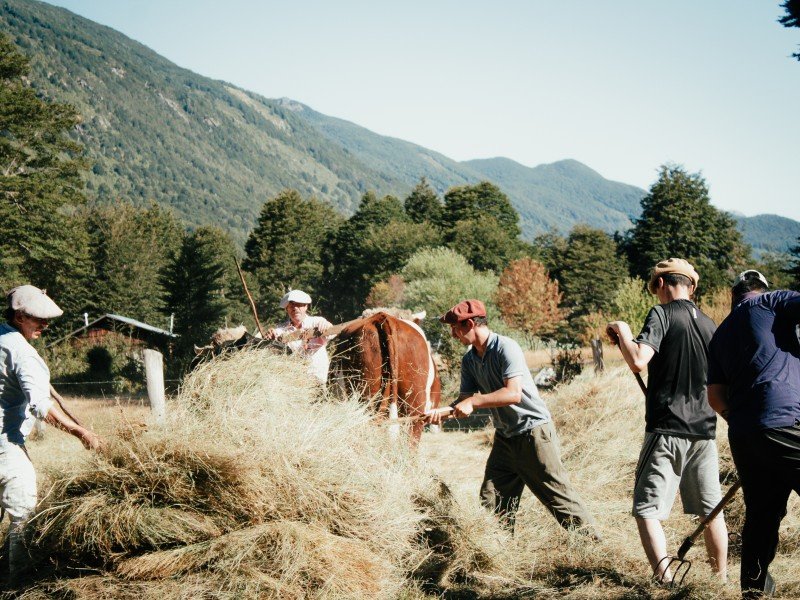 Puelo Patagonia busca voluntarios para apoyar a familias cordilleranas en Cochamó