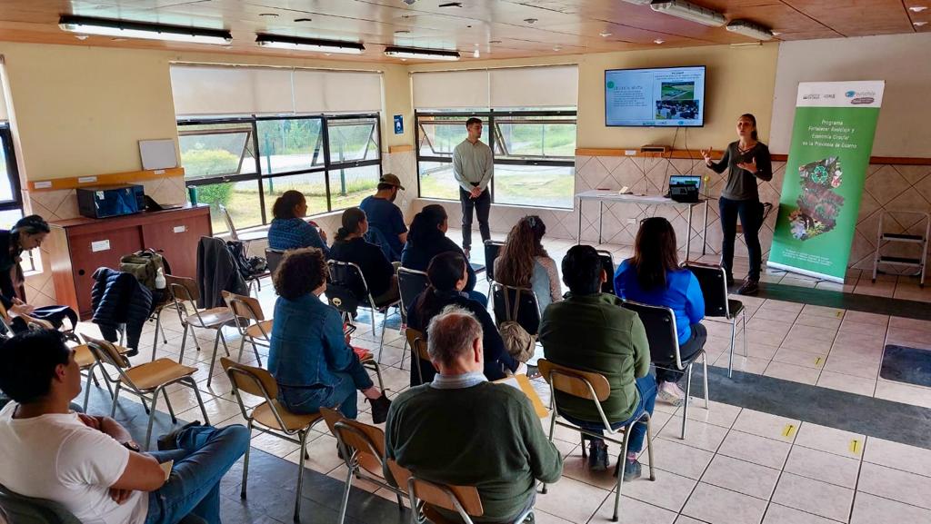 Crisis en Osorno: Educación y Salud en Riesgo