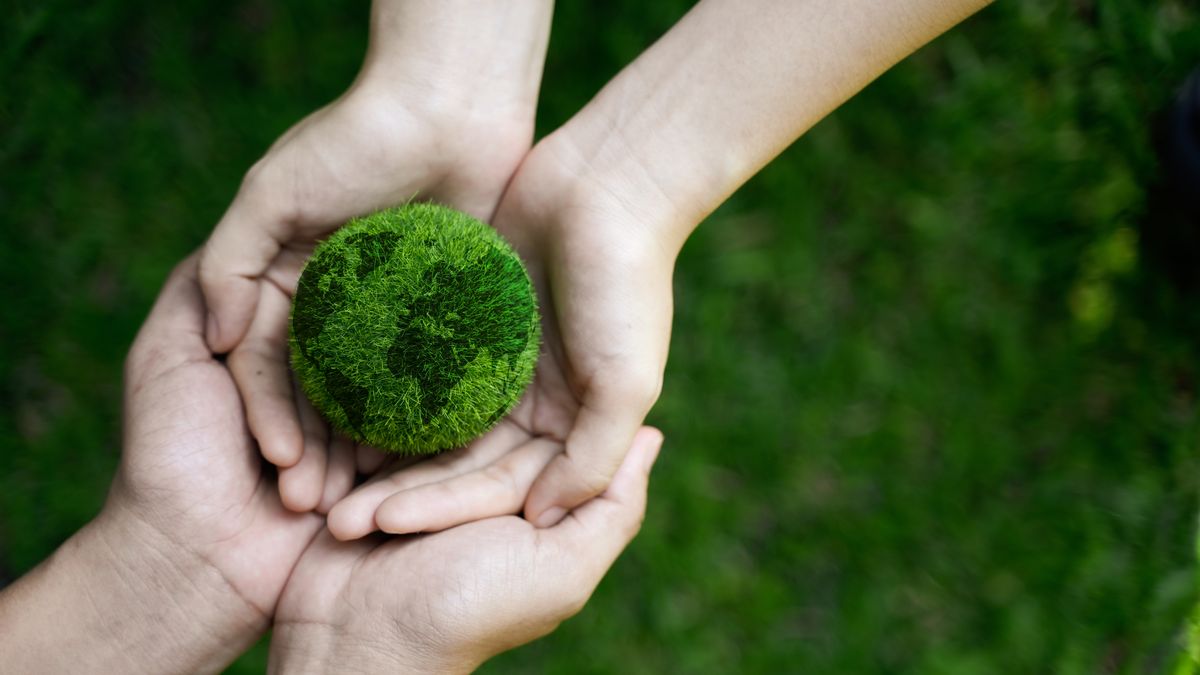 Elecciones Los Lagos: Conoce a los Candidatos