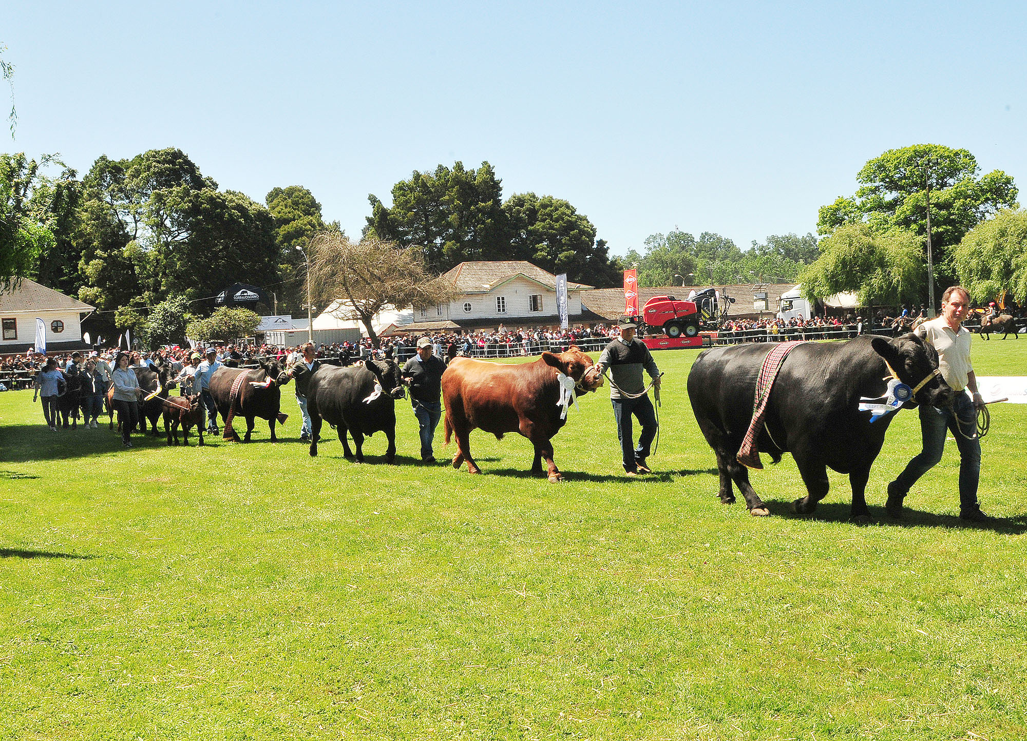 SagoFisur 2024: Innovación y Tradición Unida