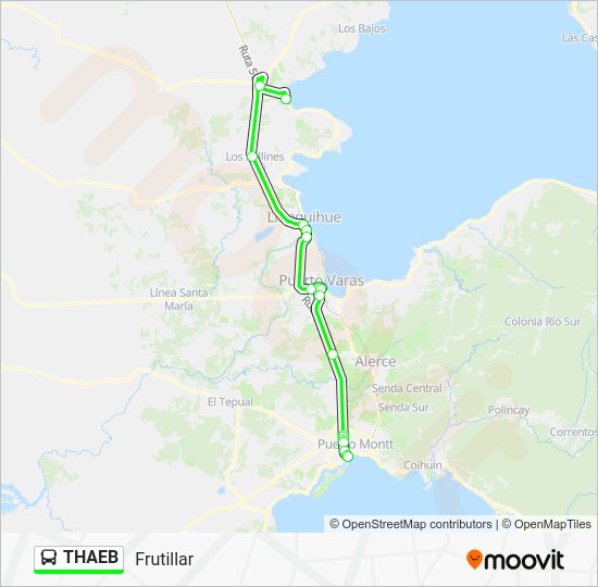 Guía Práctica: Viaje de Puerto Varas a Frutillar