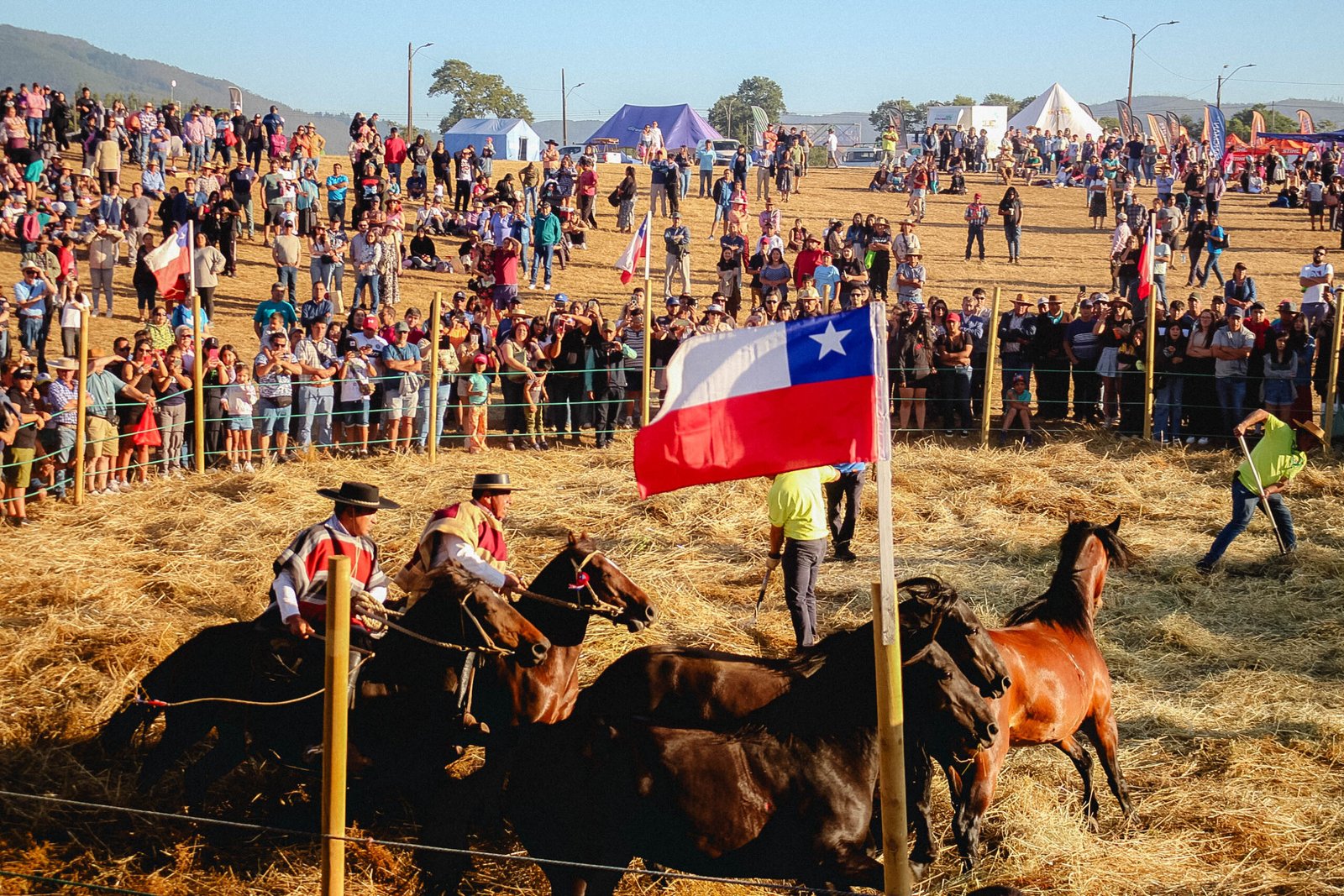 SAGO FISUR 2025: Feria de Osorno celebra 80 años con mega asado y fiesta ranchera