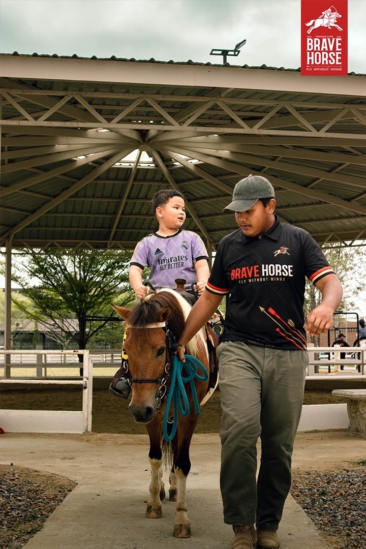 BRAVE HORSE TH Gallery 4