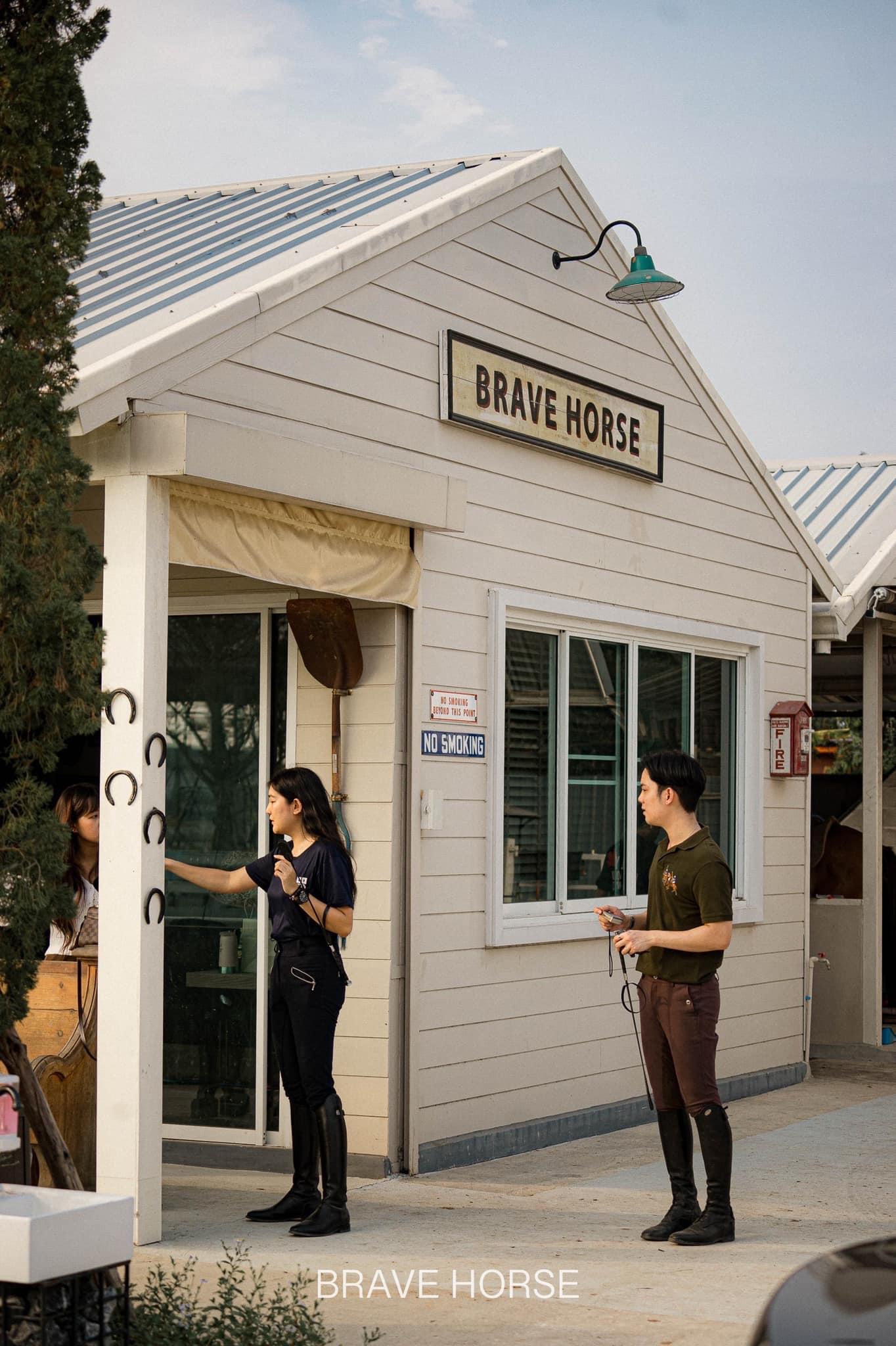 BRAVE HORSE TH Gallery 5