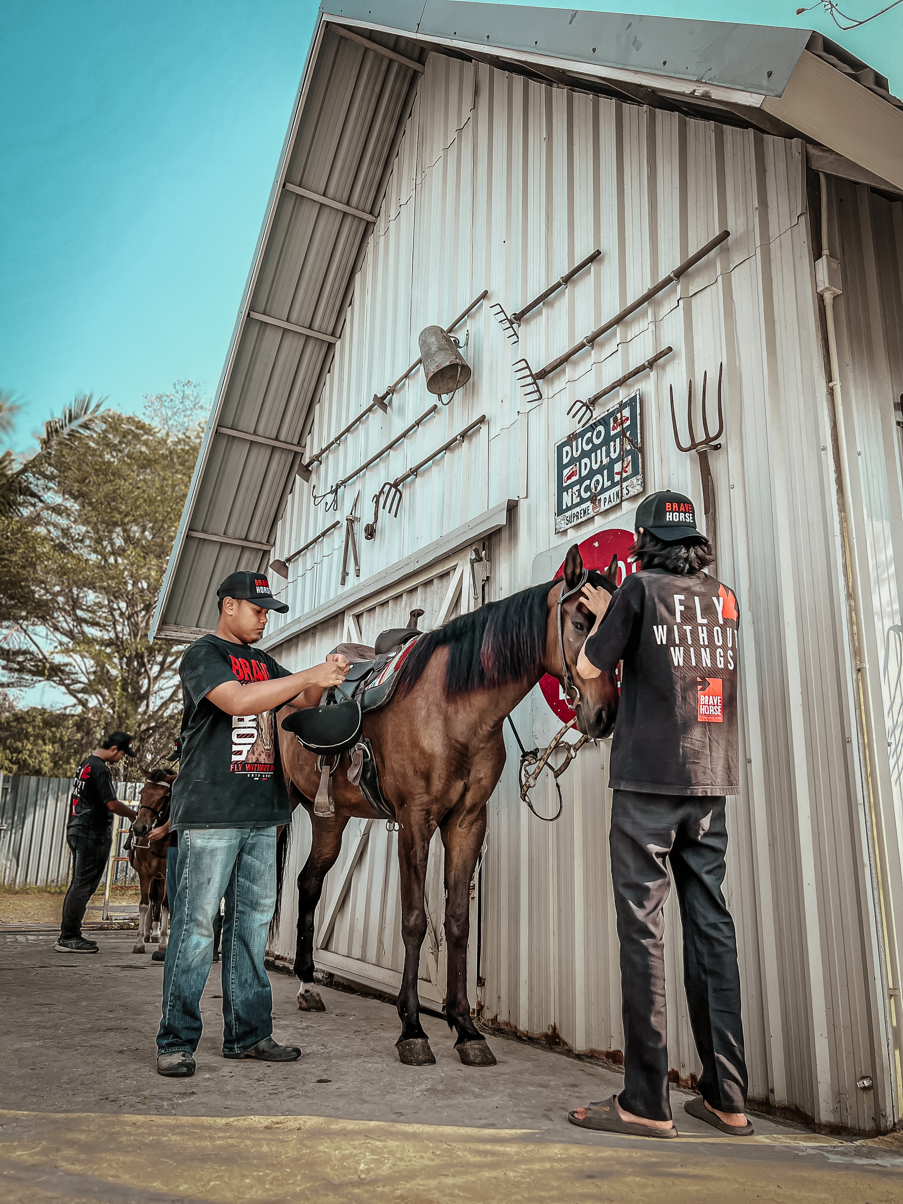 BRAVE HORSE TH Gallery 6