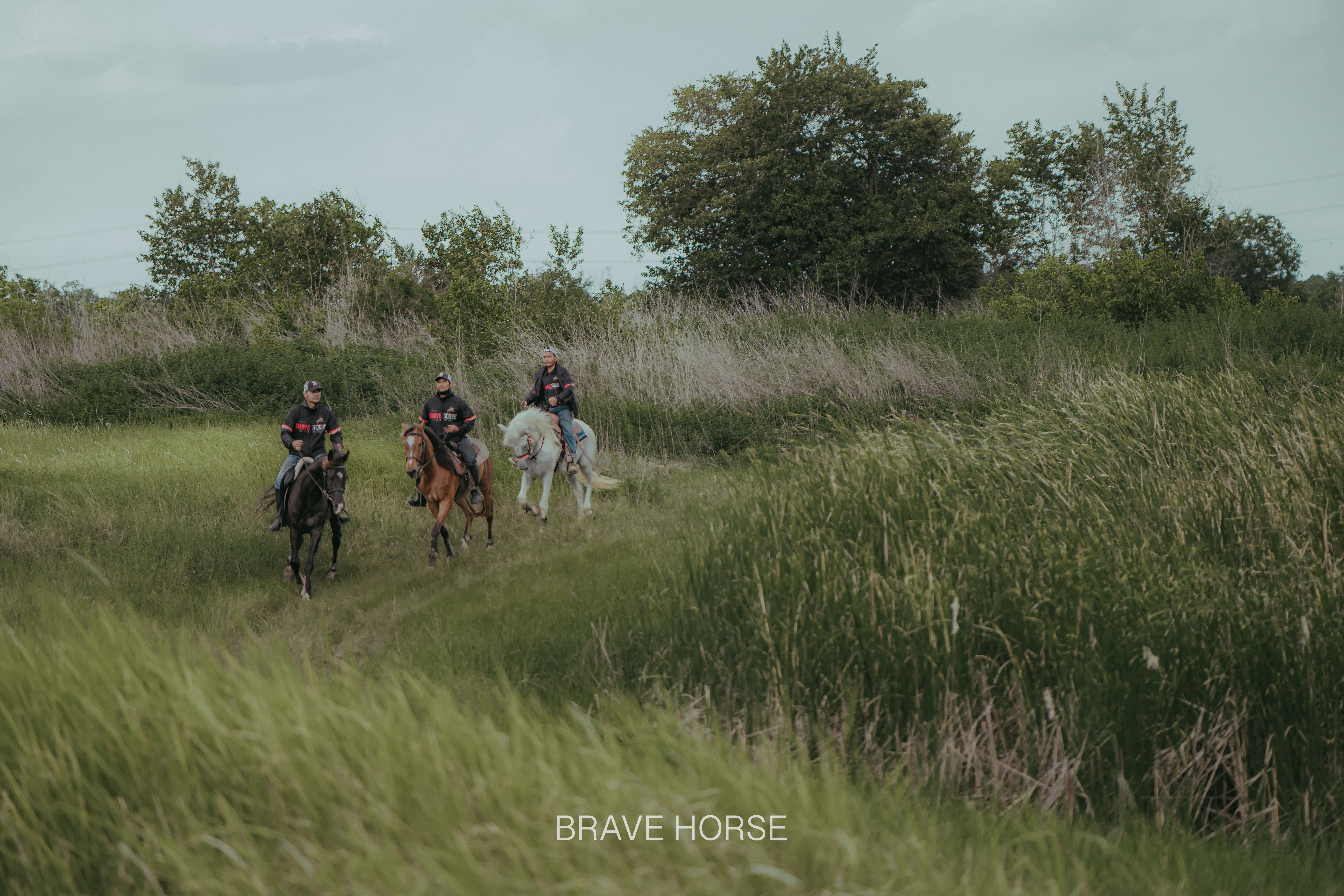 BRAVE HORSE TH Gallery 7