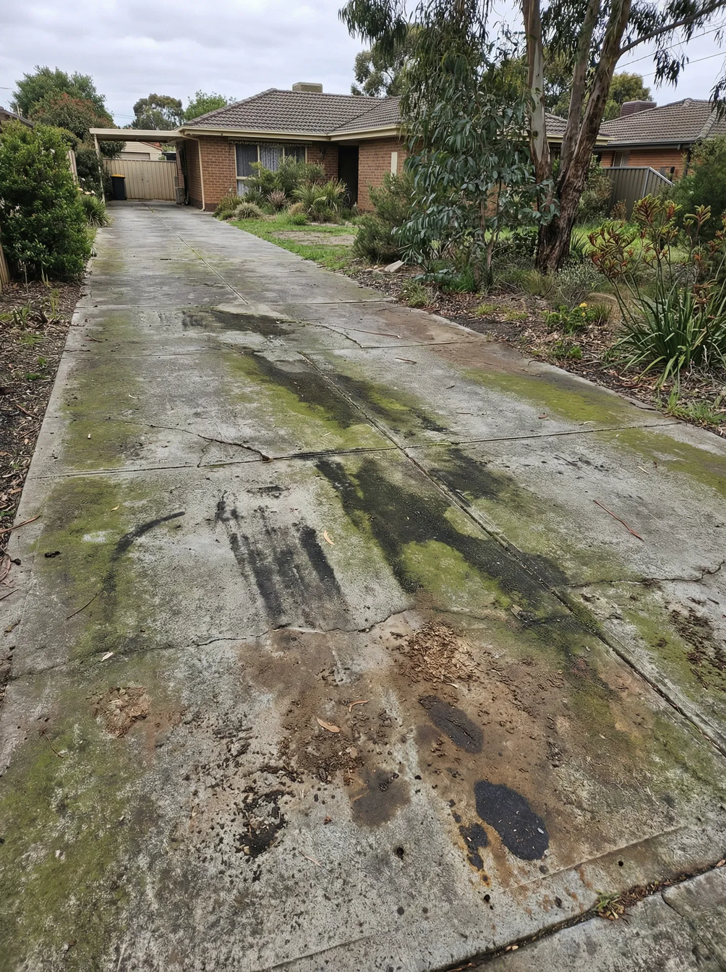 Driveways and paths stained and slippery from moss buildup