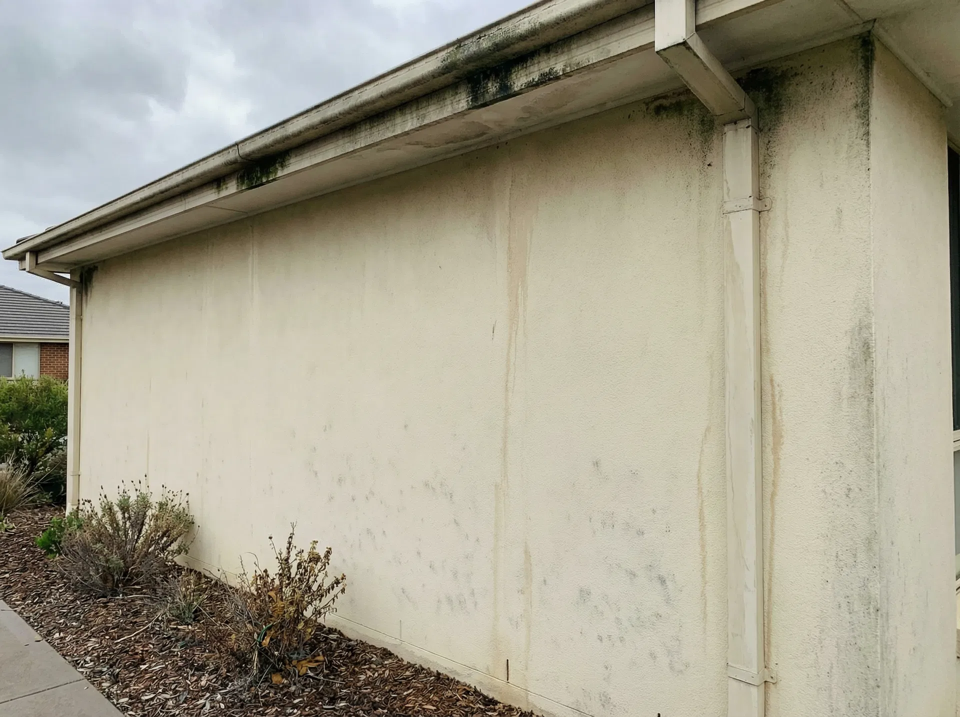 Walls and fences that look grey and weathered