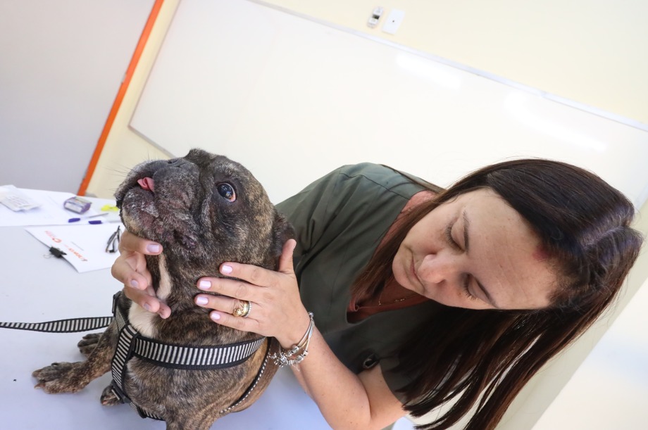 Prefeitura de Niterói oferece serviços veterinários gratuitos no Fonseca