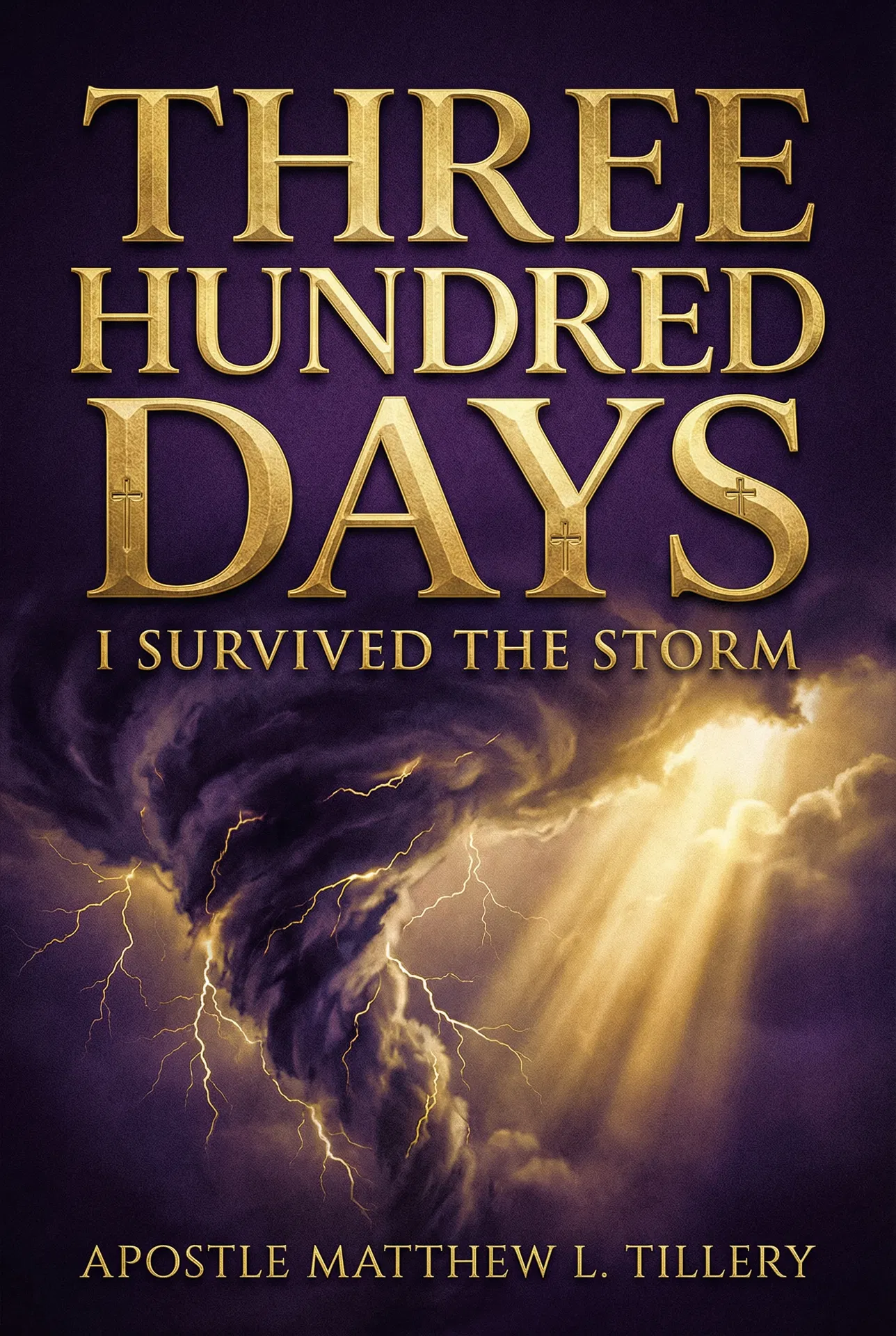 Three Hundred Days: I Survived The Storm