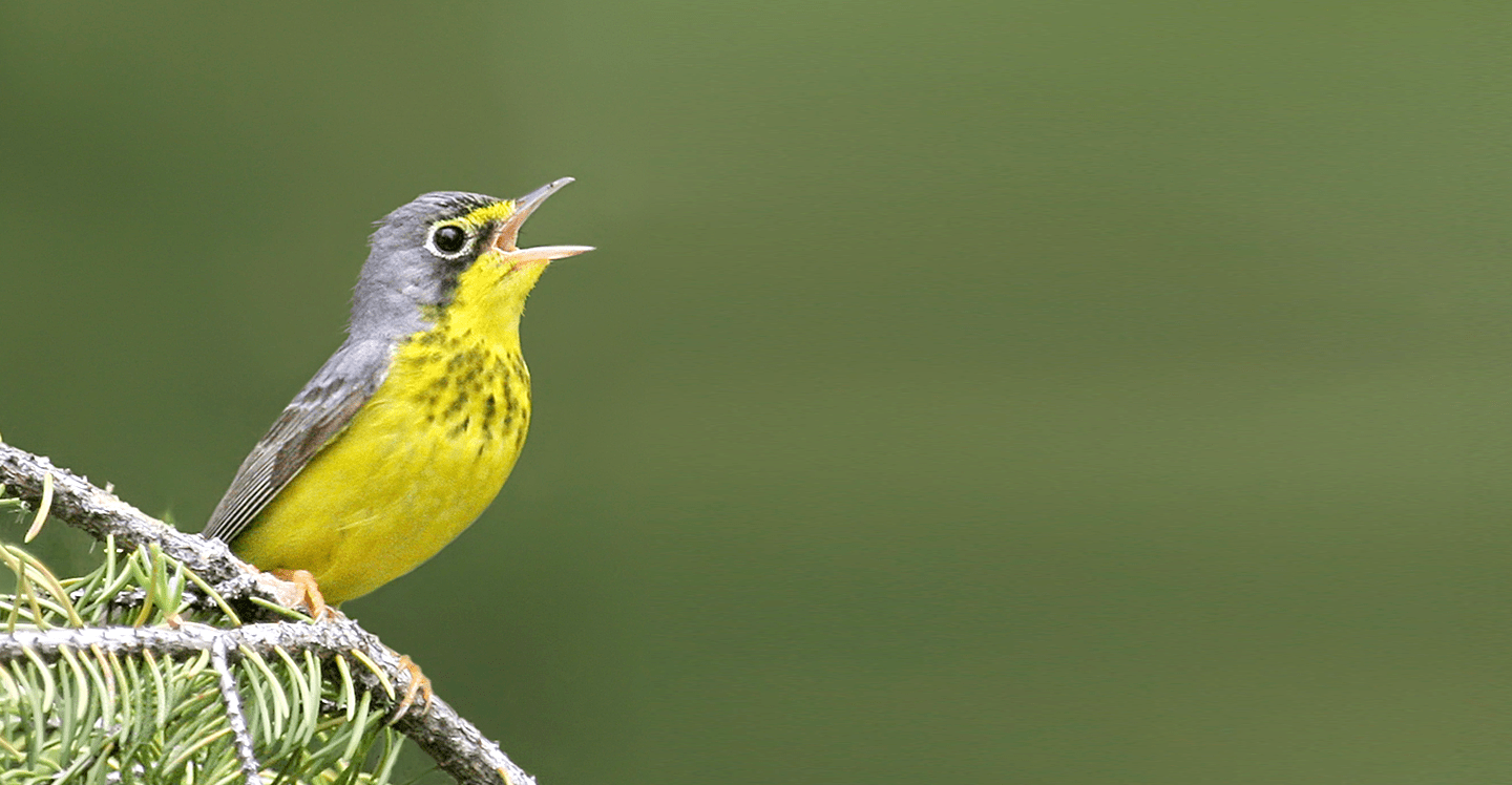 Quartier Domaine SGLC