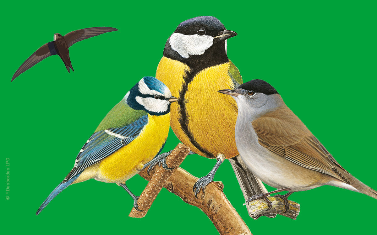 Quartier Mauperthuis