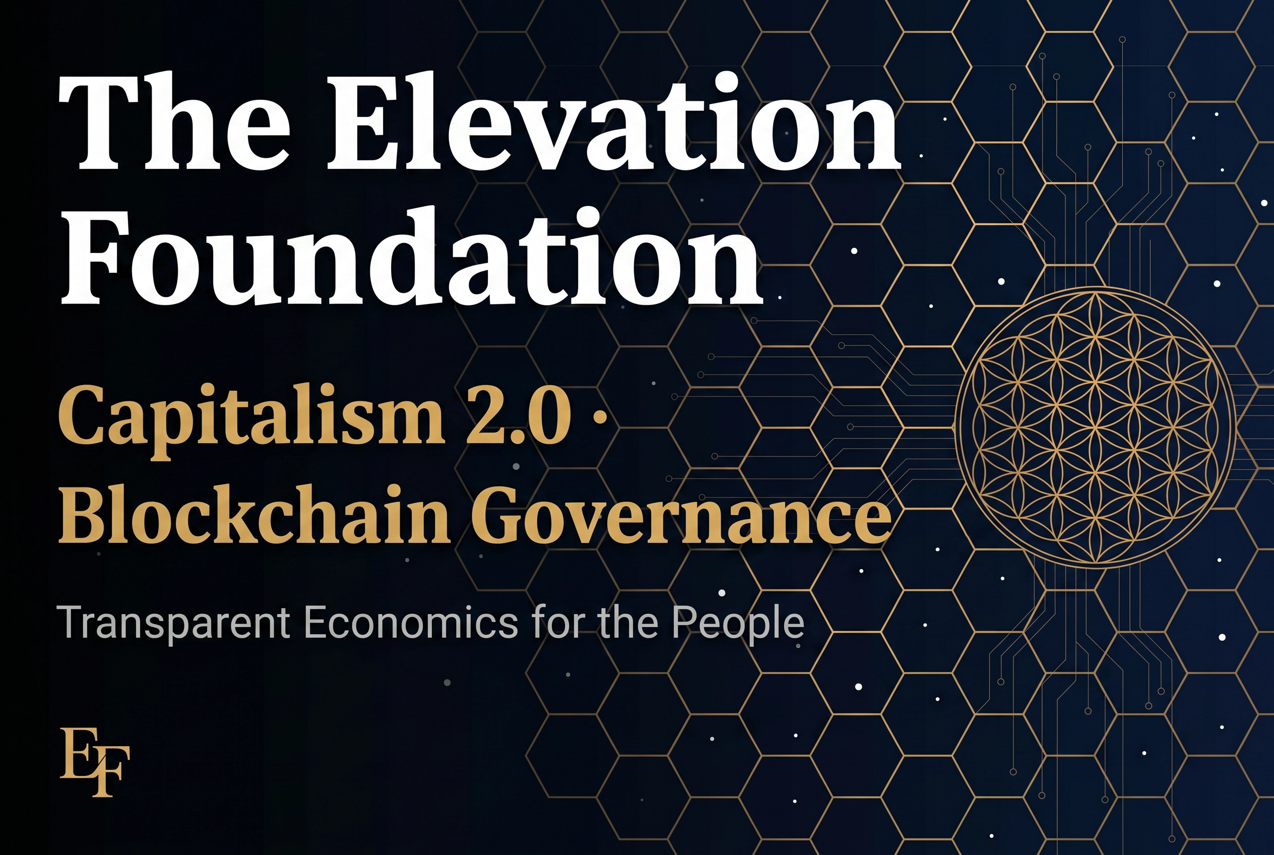 The Elevation Foundation — organization card