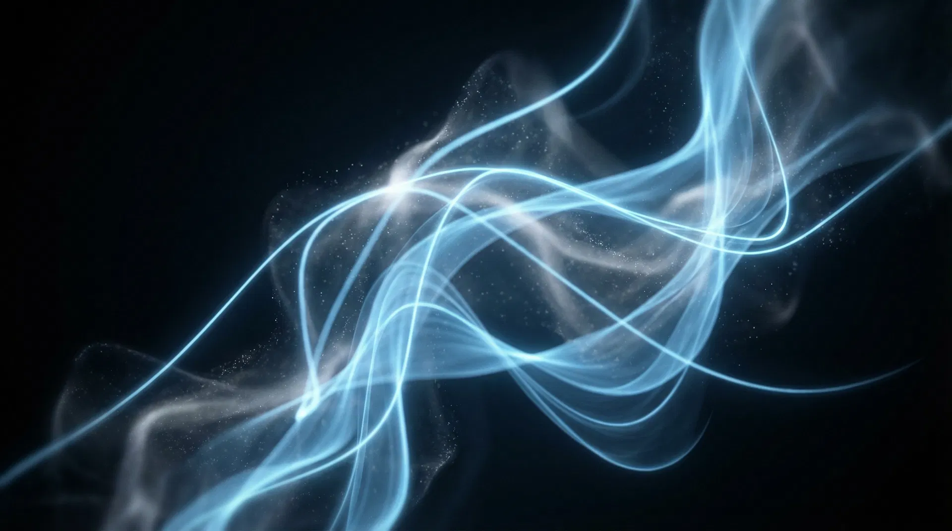 Discovery Seminars Experiencia