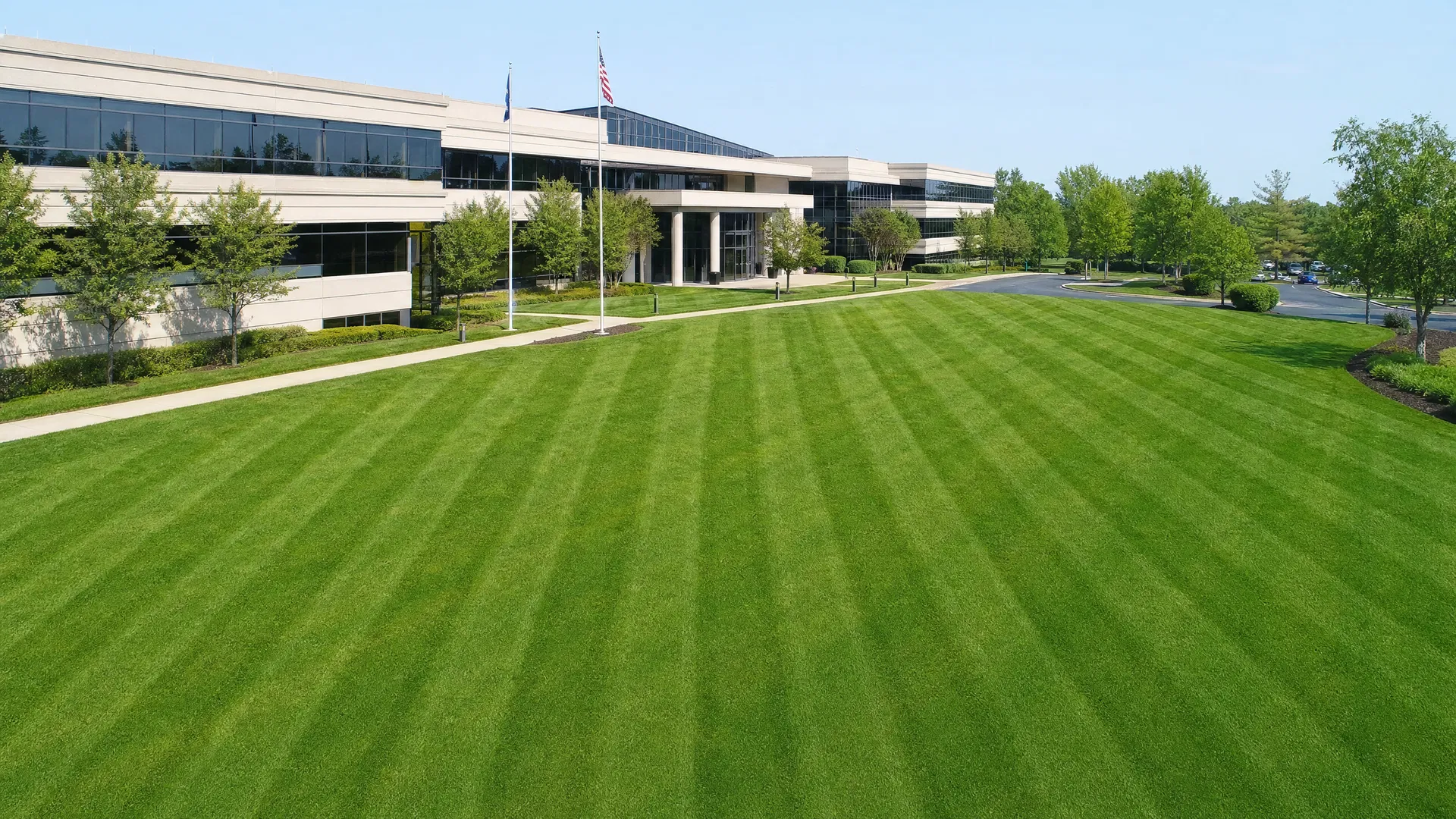 Professionally maintained commercial lawn by Big League Lawns