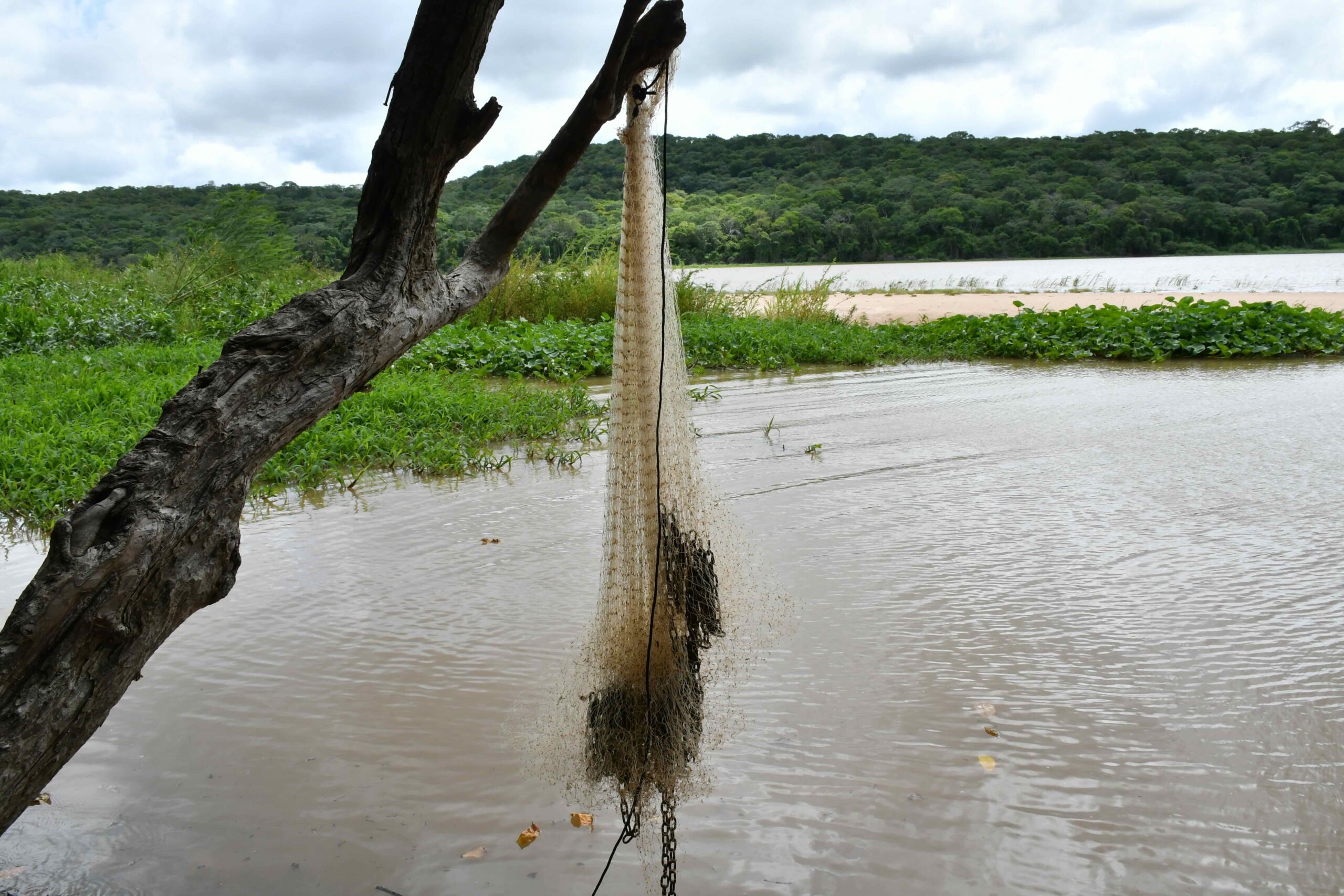 Rede de pesca apreendida às margens de um rio no Pantanal durante operação contra pesca ilegal