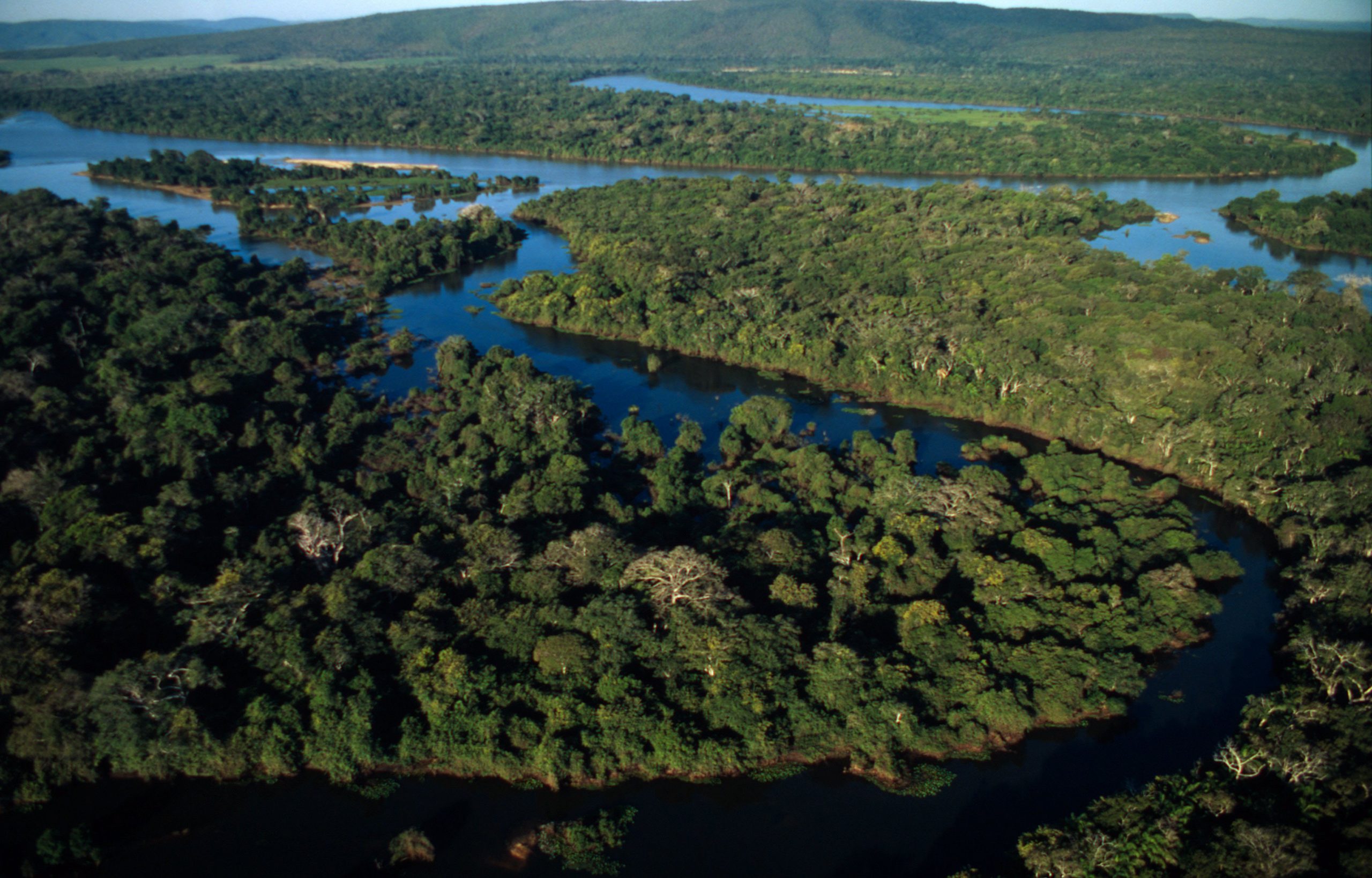 Vista aérea de um rio sinuoso cercado por vegetação exuberante no Pantanal